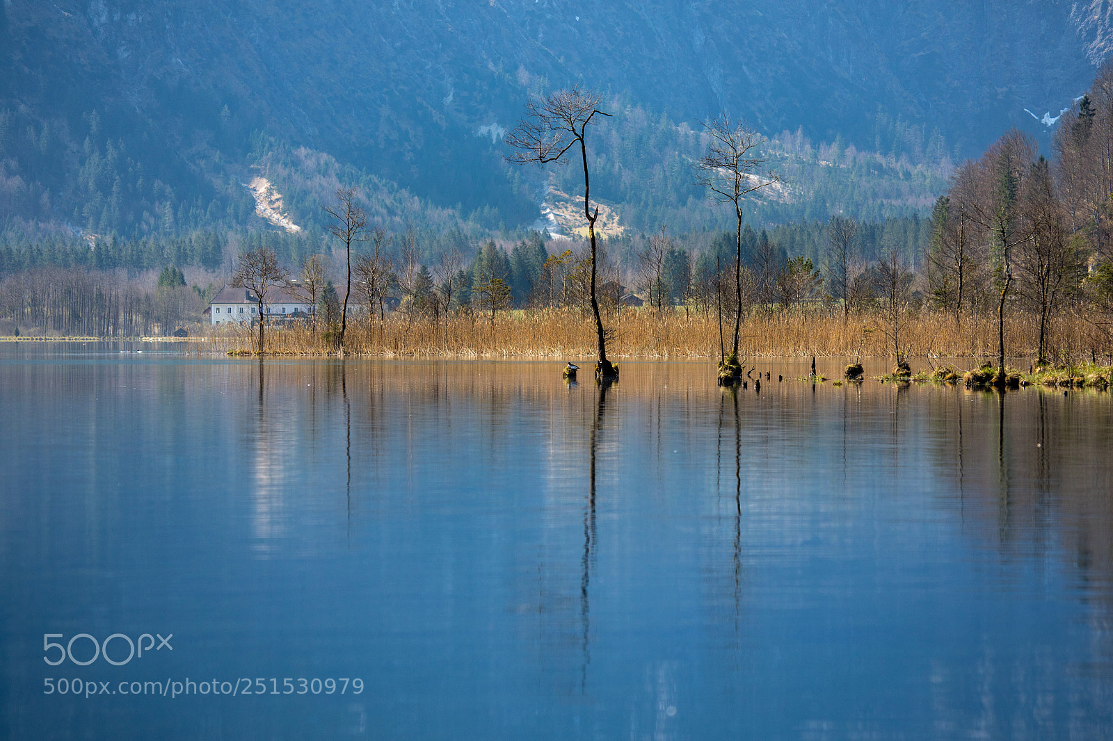 Canon EOS 5D Mark IV sample photo. Almsee photography