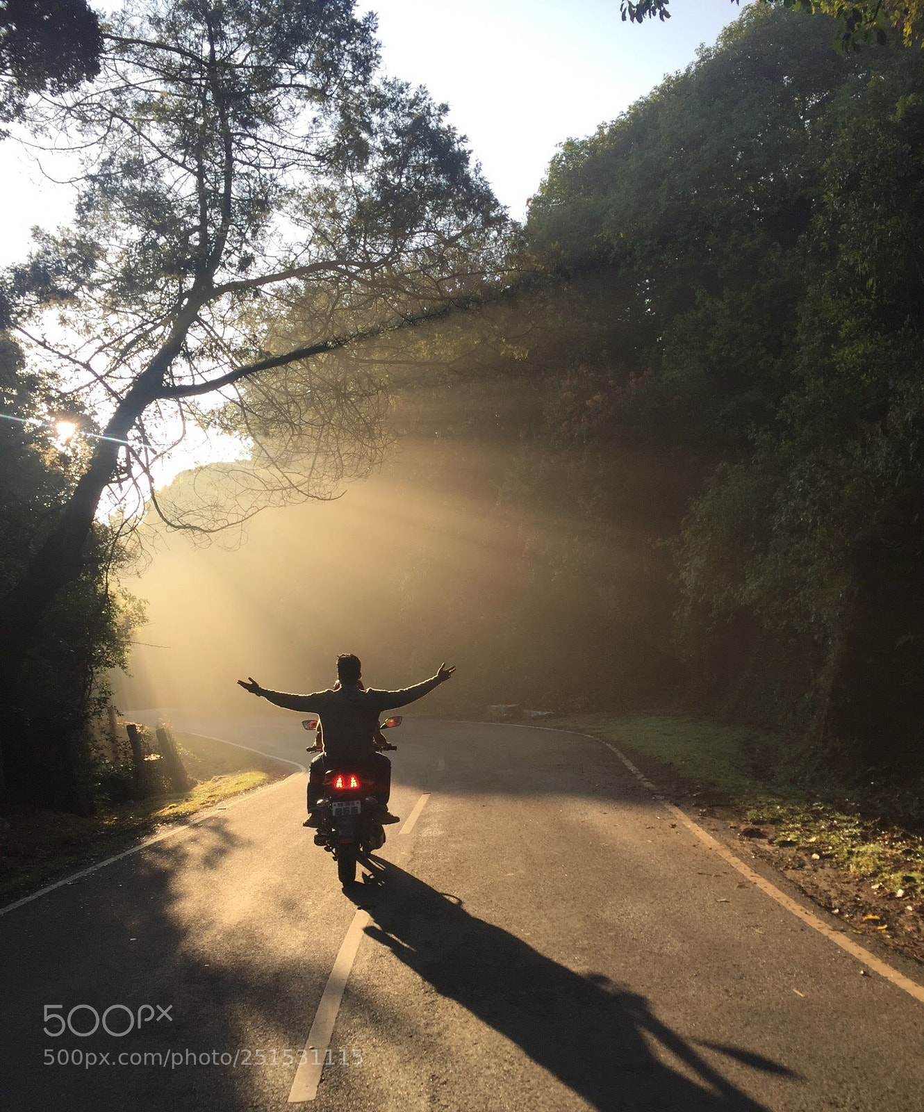 Apple iPhone 6 sample photo. Rays photography