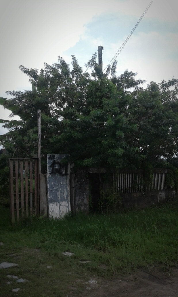 Samsung Galaxy J1(2016) sample photo