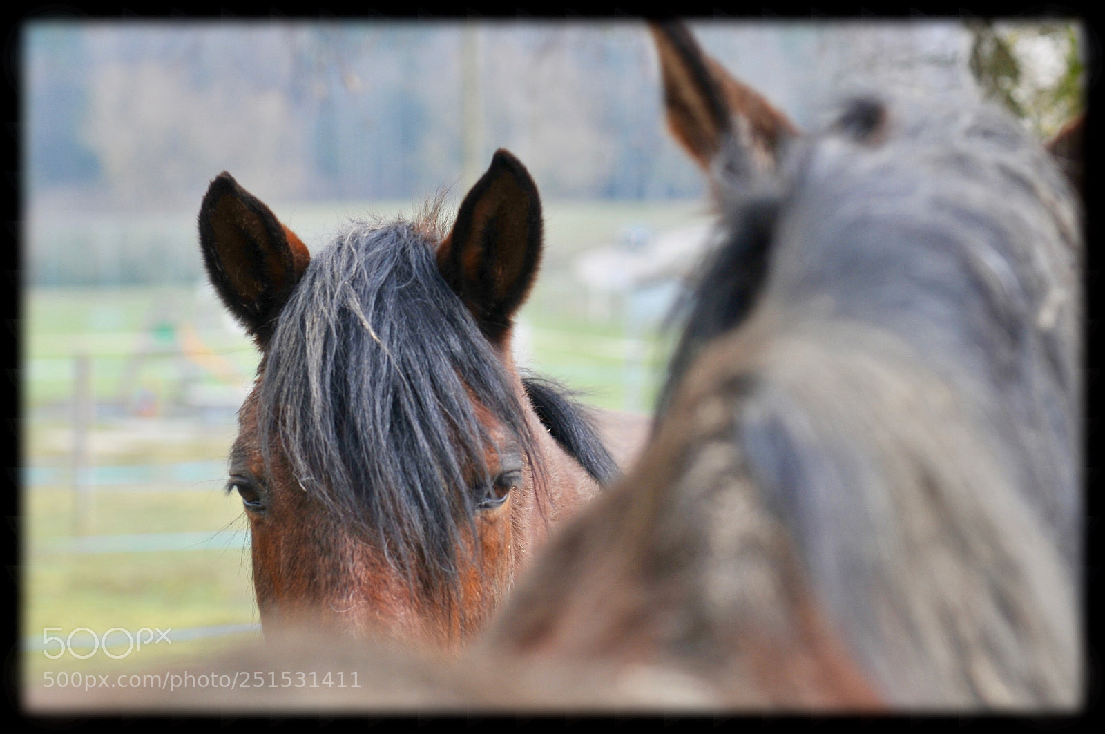 Nikon D300 sample photo. Spring time photography