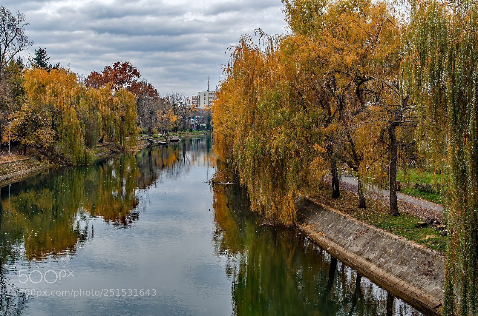 Nikon D7000 sample photo. Autumn in timișoara. photography