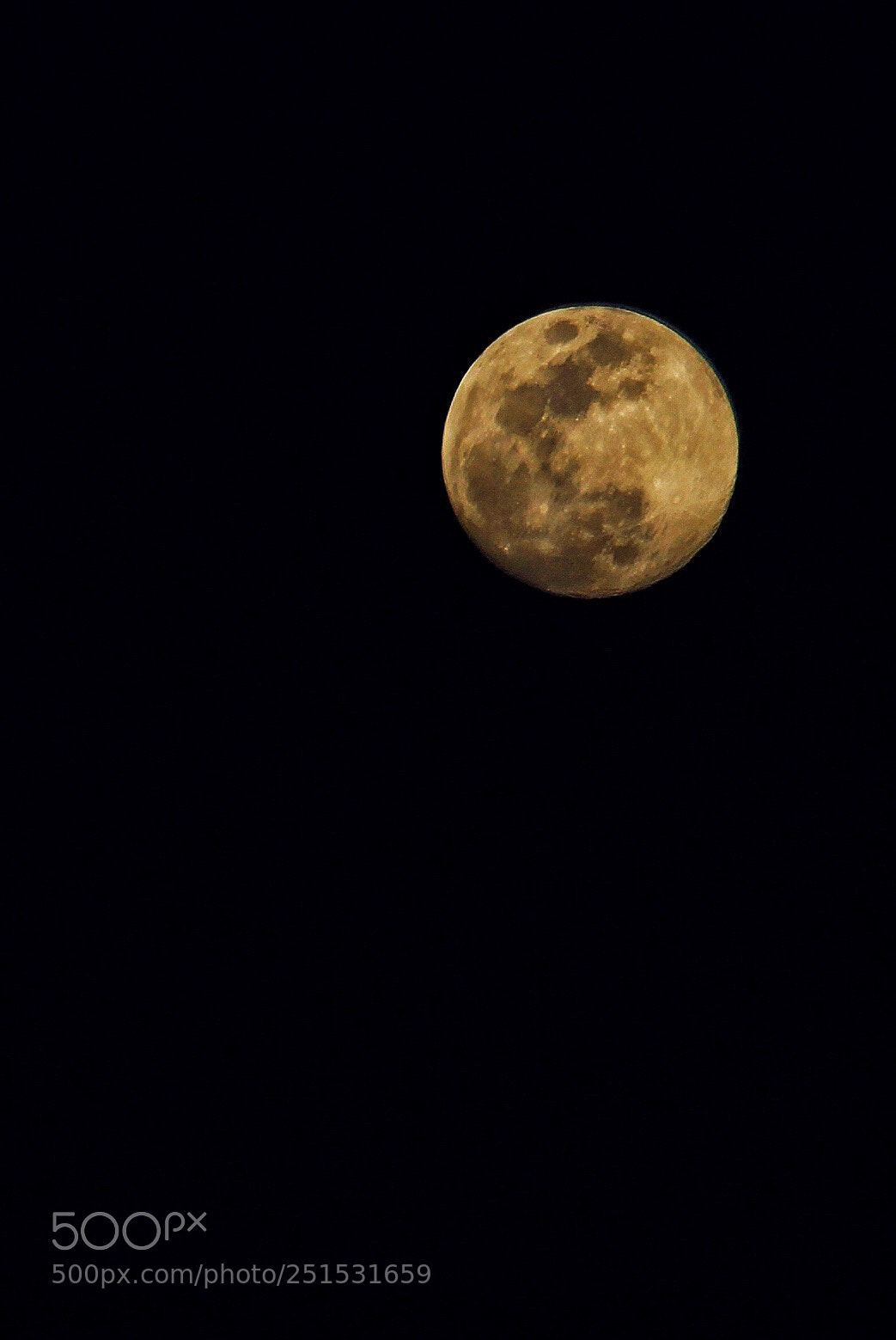 Canon EOS 700D (EOS Rebel T5i / EOS Kiss X7i) sample photo. Untitled photography