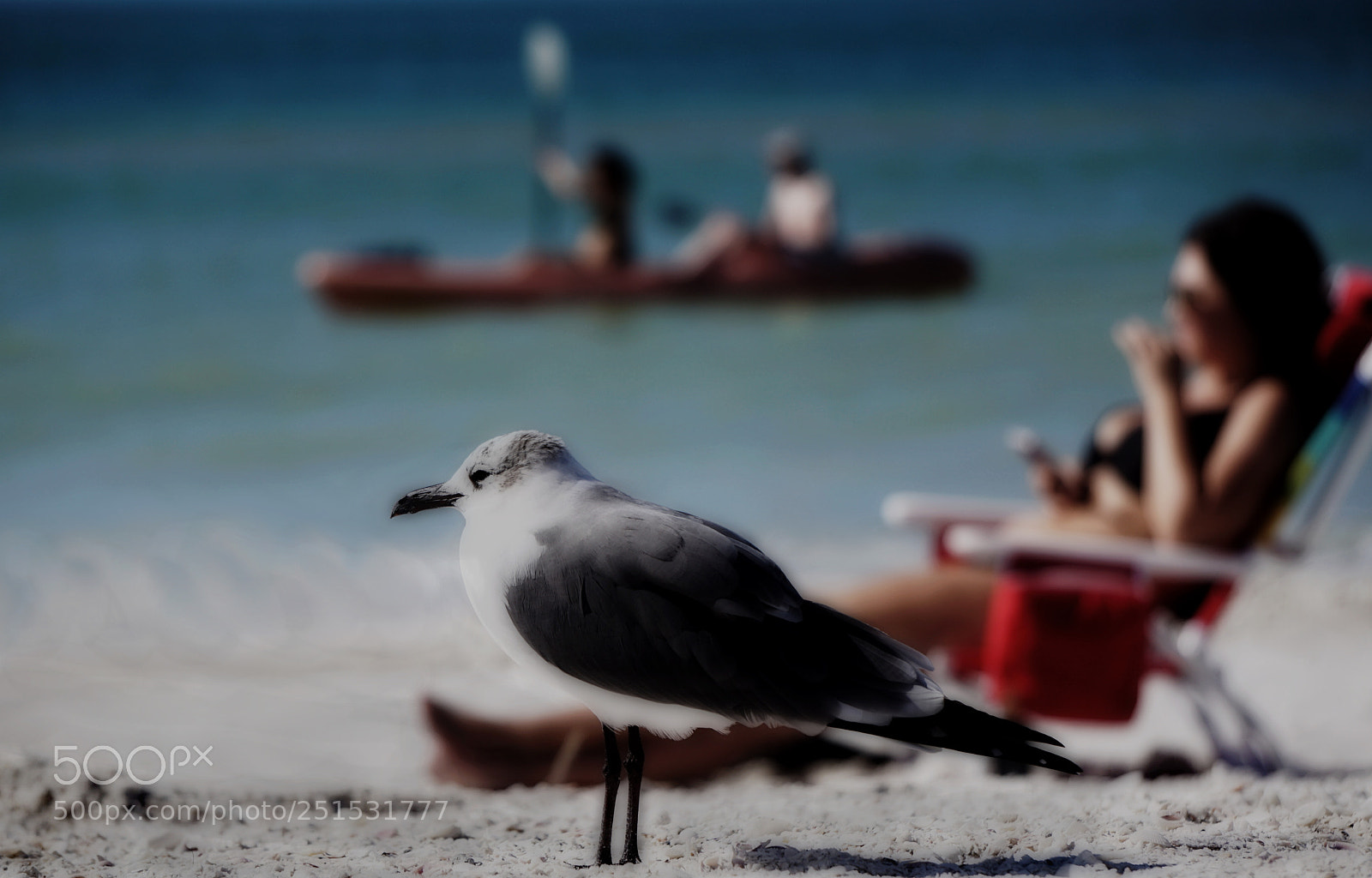 Sony a6000 sample photo. Day at the beach photography