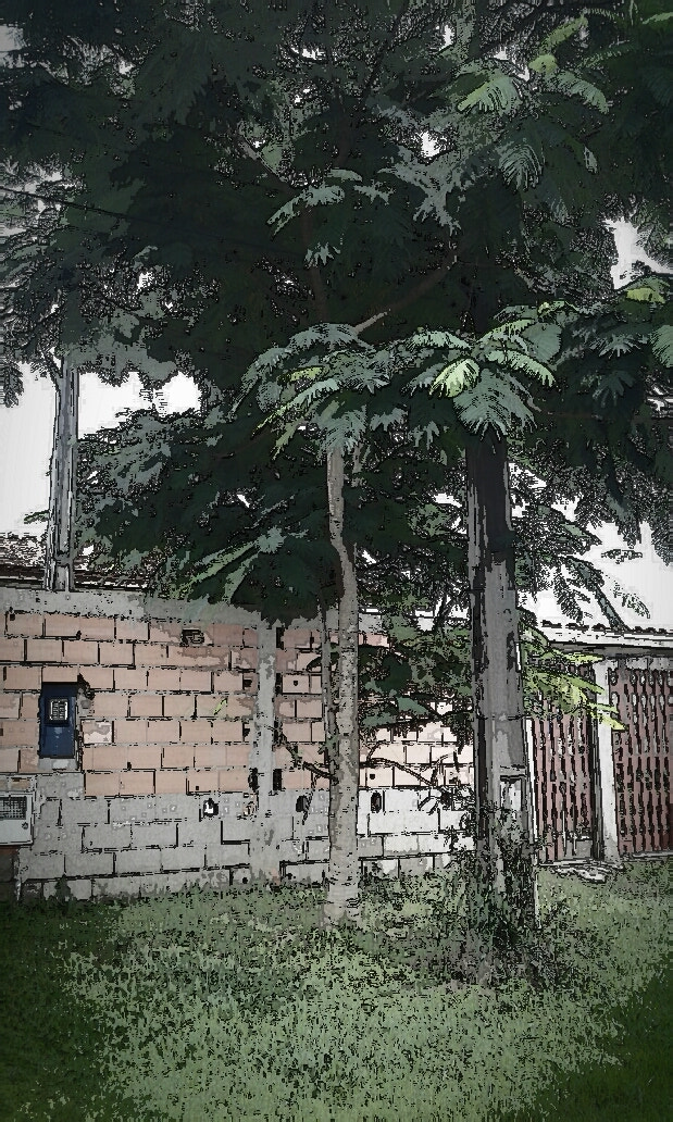 Samsung Galaxy J1(2016) sample photo