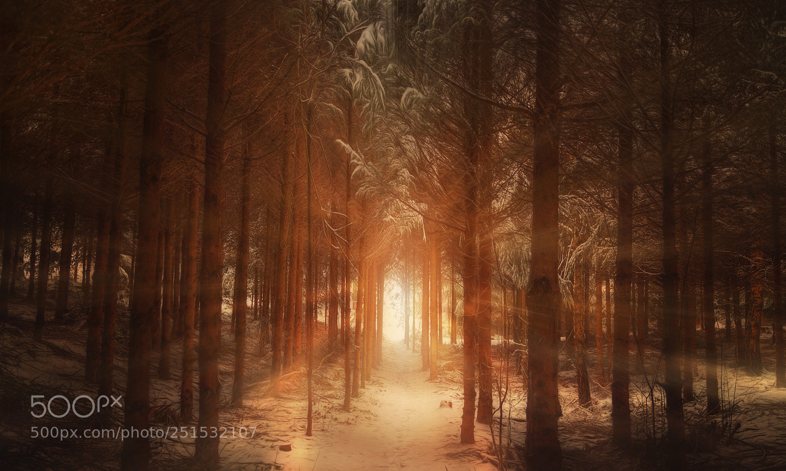 Canon EOS 5D Mark II sample photo. Winter's gate photography