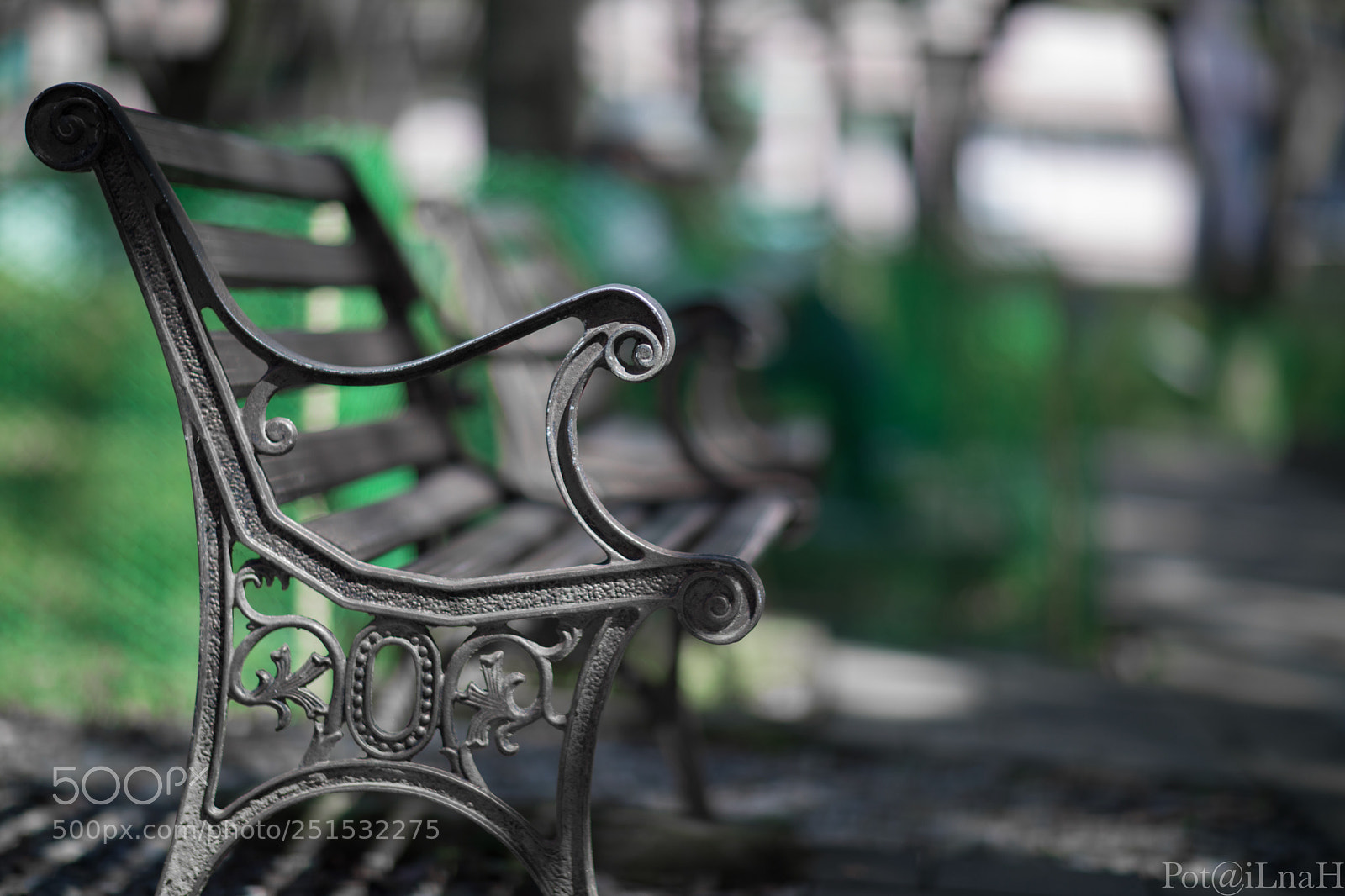 Canon EOS 5D Mark IV sample photo. Untitled photography