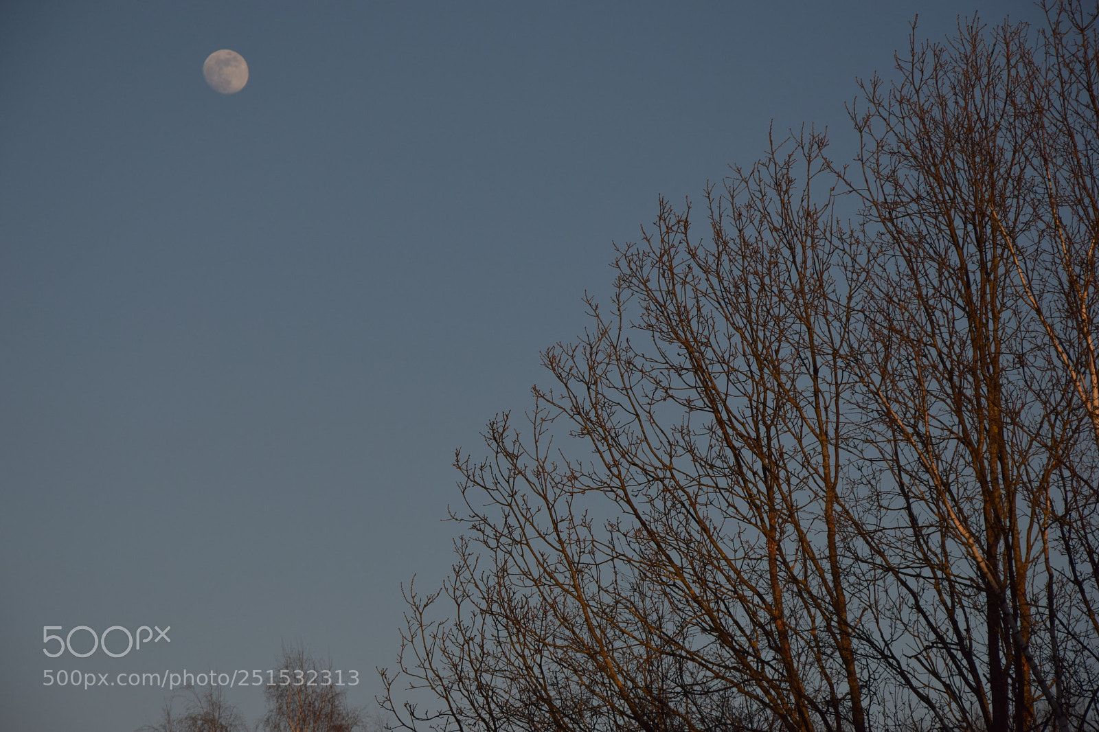 Nikon D3300 sample photo. Sunset vs.moon photography