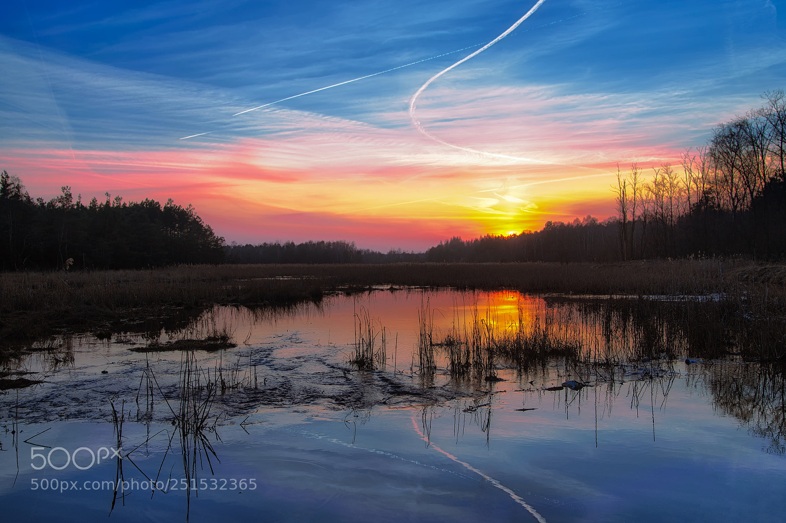 Nikon D700 sample photo. Antoni krais edit edit photography
