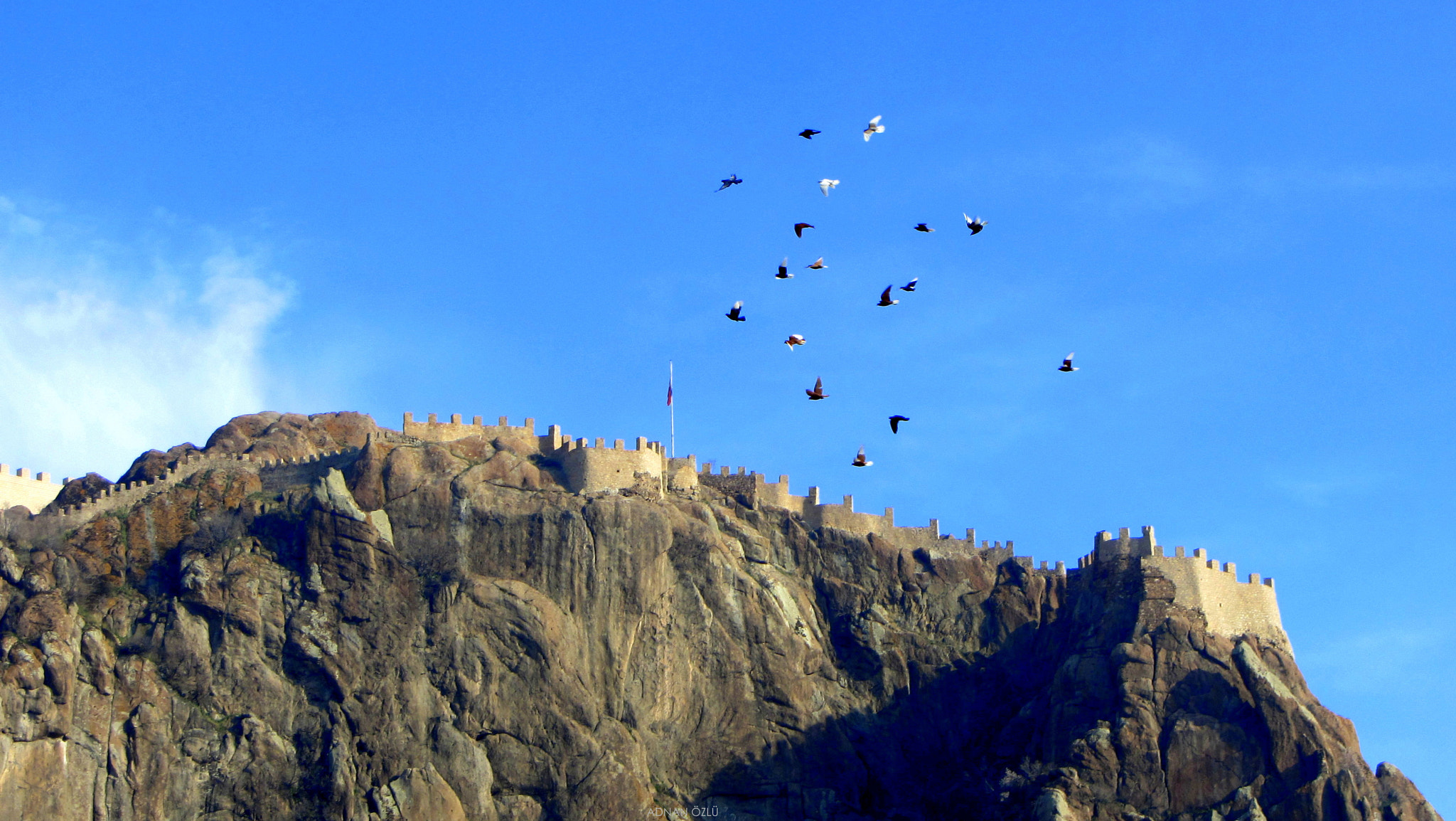 Canon PowerShot SX230 HS sample photo. Flying pigeons photography