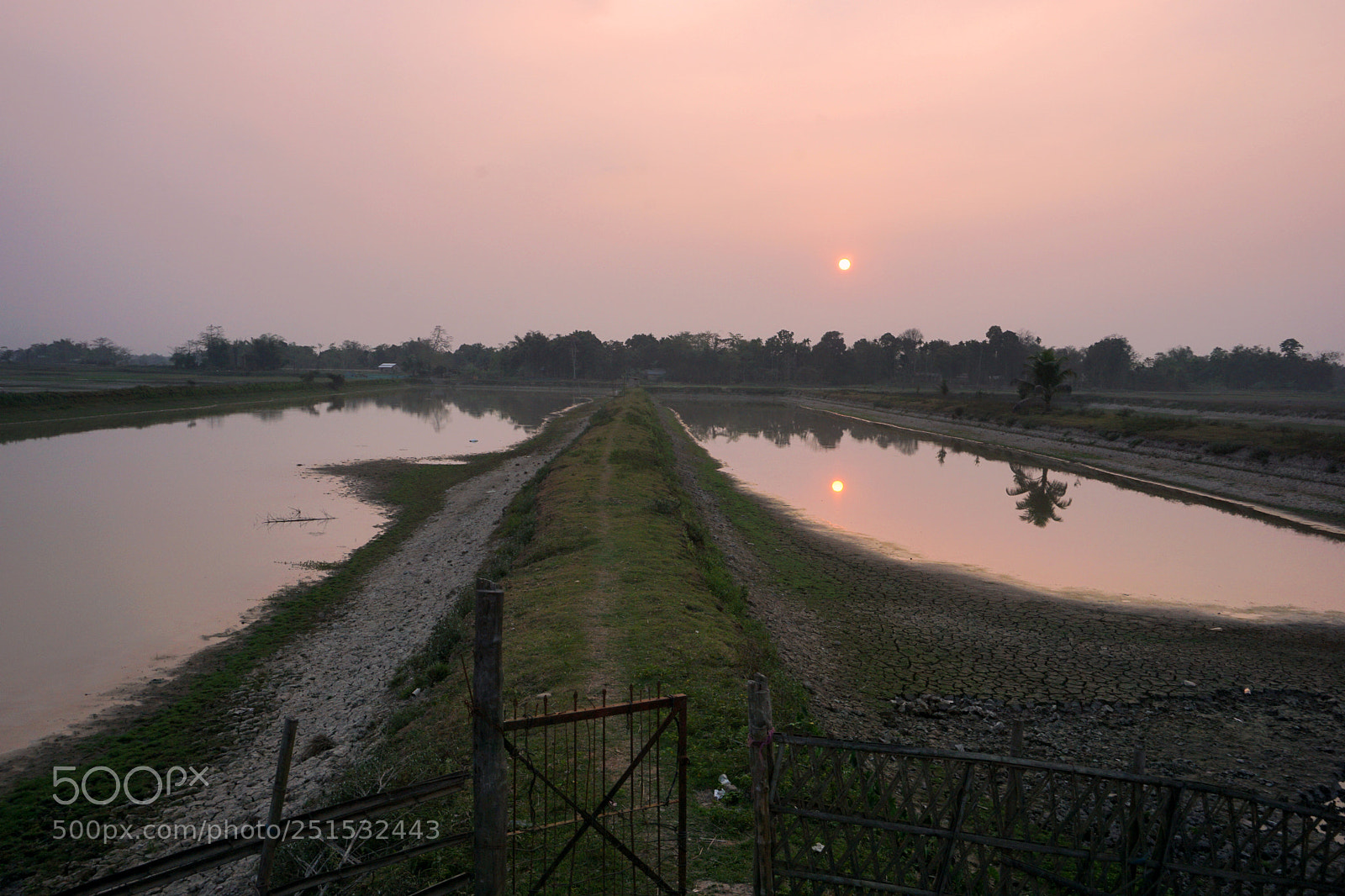 Sony a5100 sample photo. Untitled photography