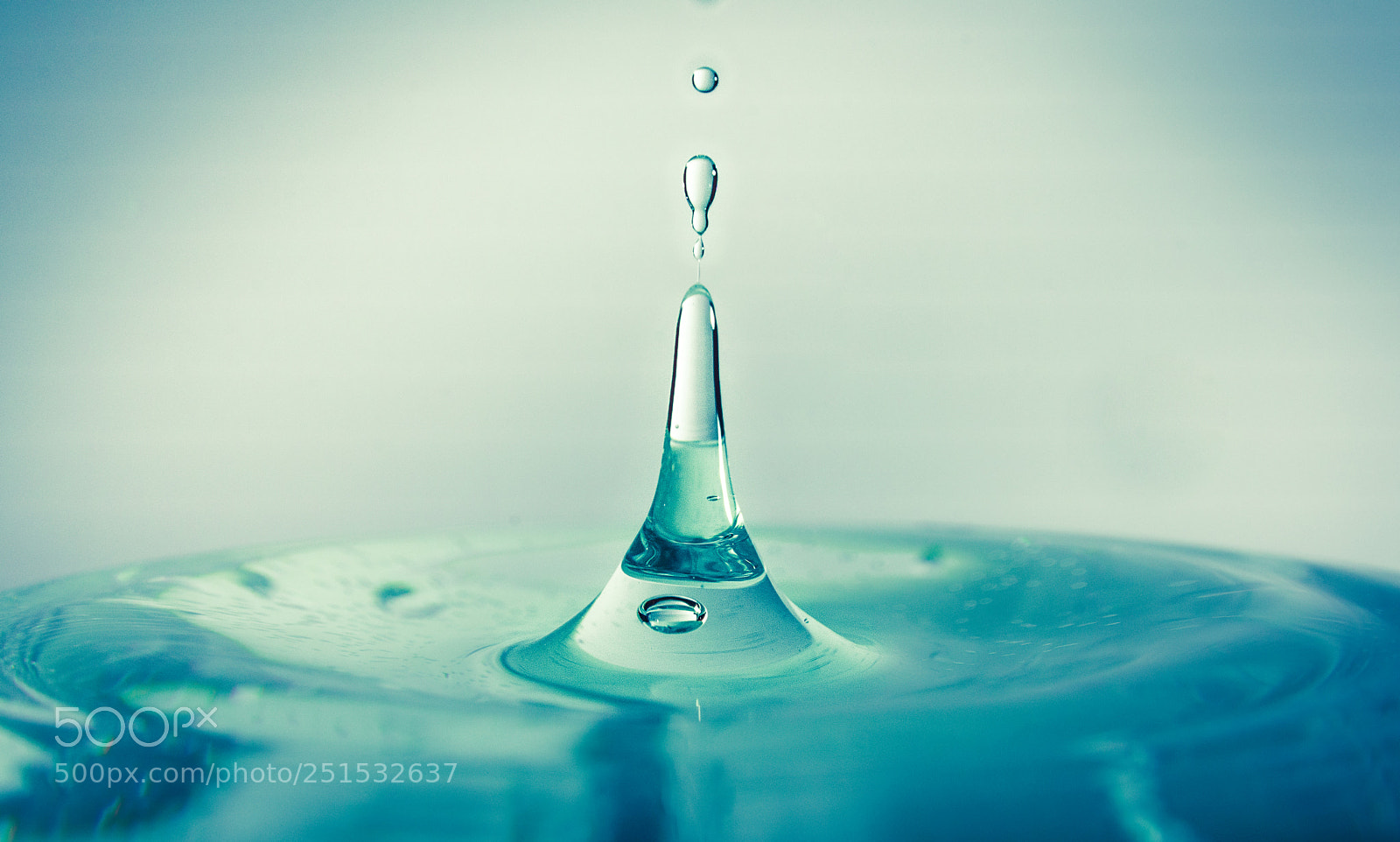 Nikon D7200 sample photo. Water drop photography