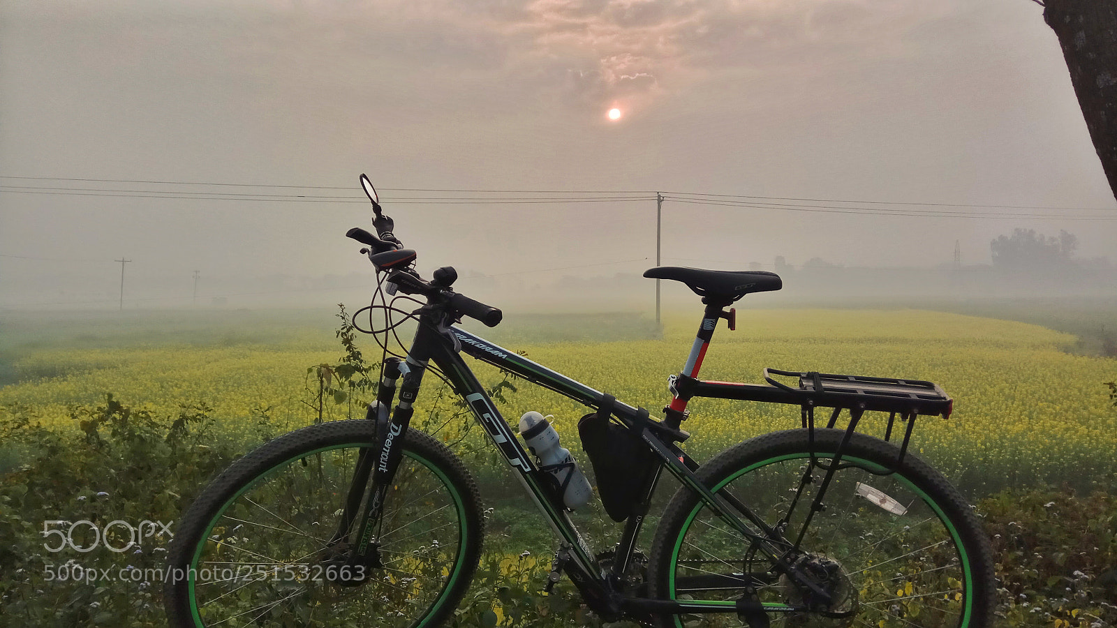 Xiaomi Redmi Note 4 sample photo. Beautiful bangladesh photography