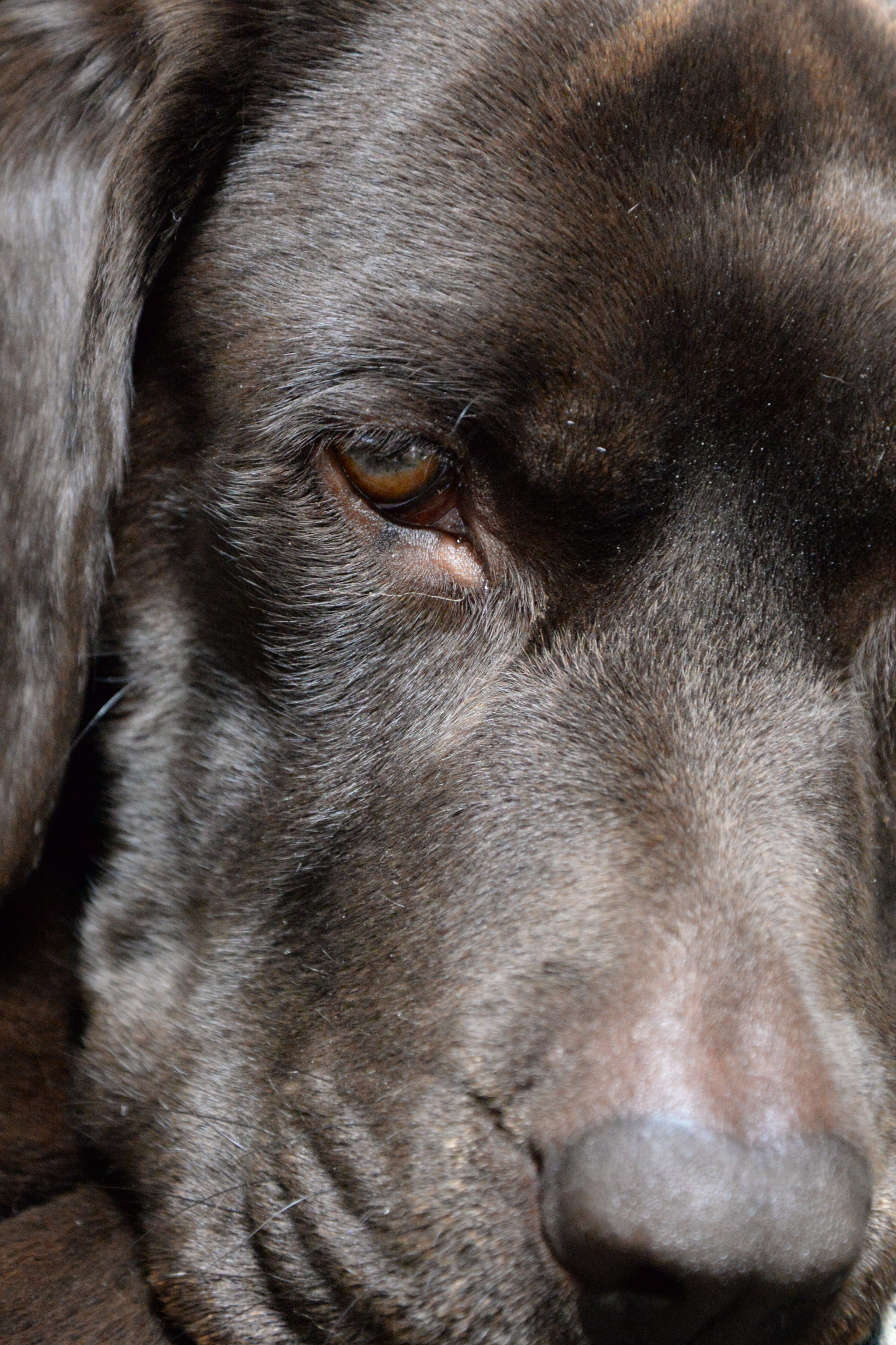 Nikon D610 sample photo. 036.jpg photography