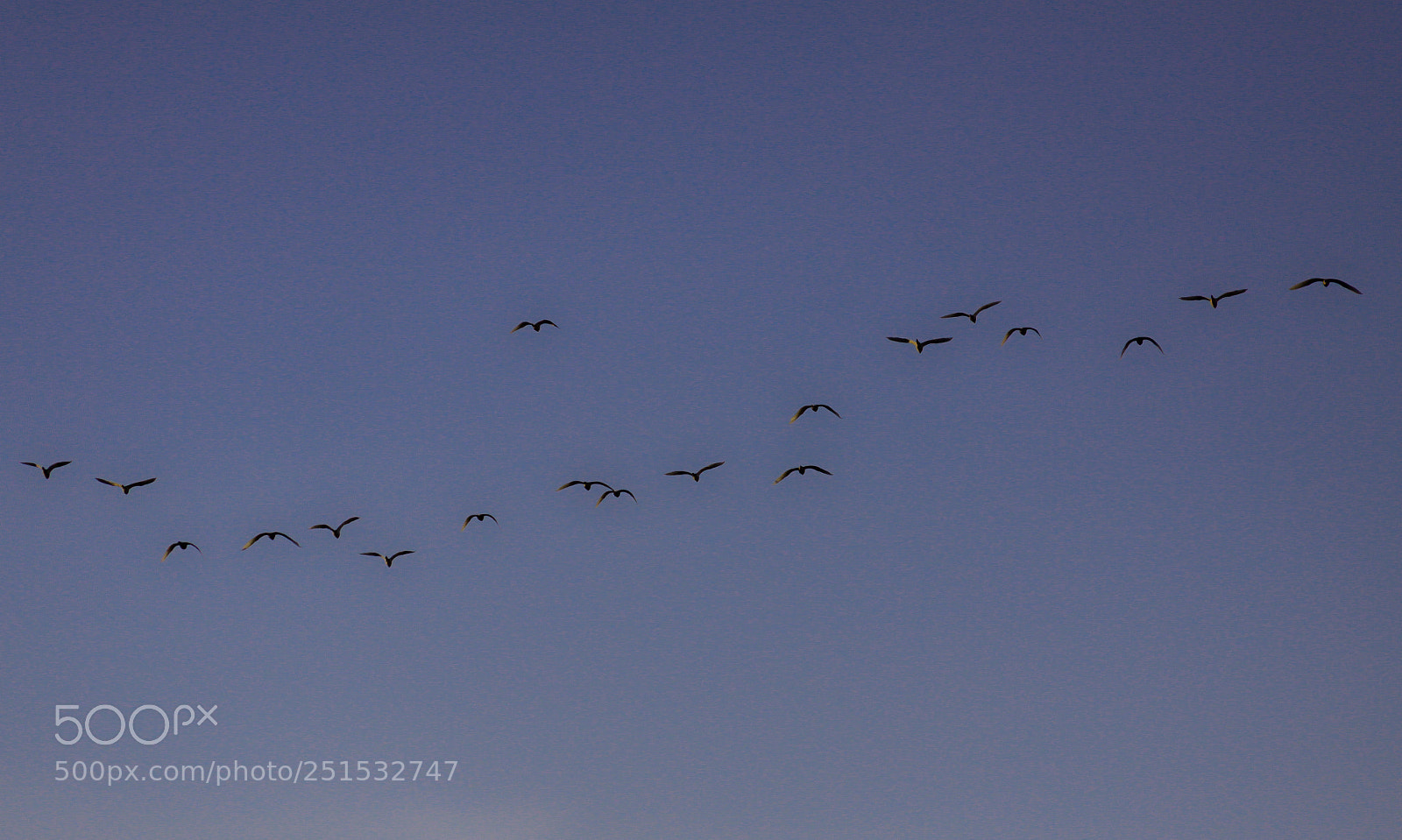 Canon EOS 50D sample photo. Goodbye blue sky photography