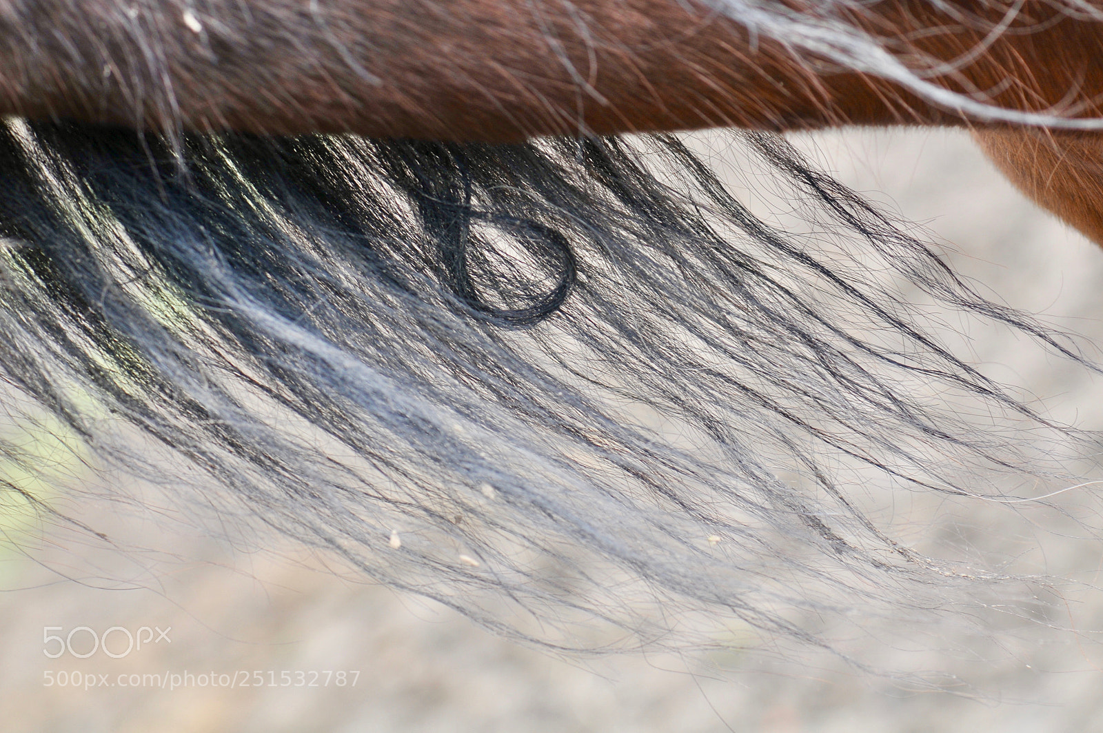 Nikon D300 sample photo. Infinity photography
