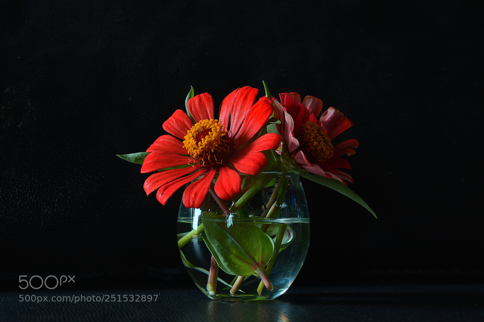 Nikon D7100 sample photo. Untitled photography