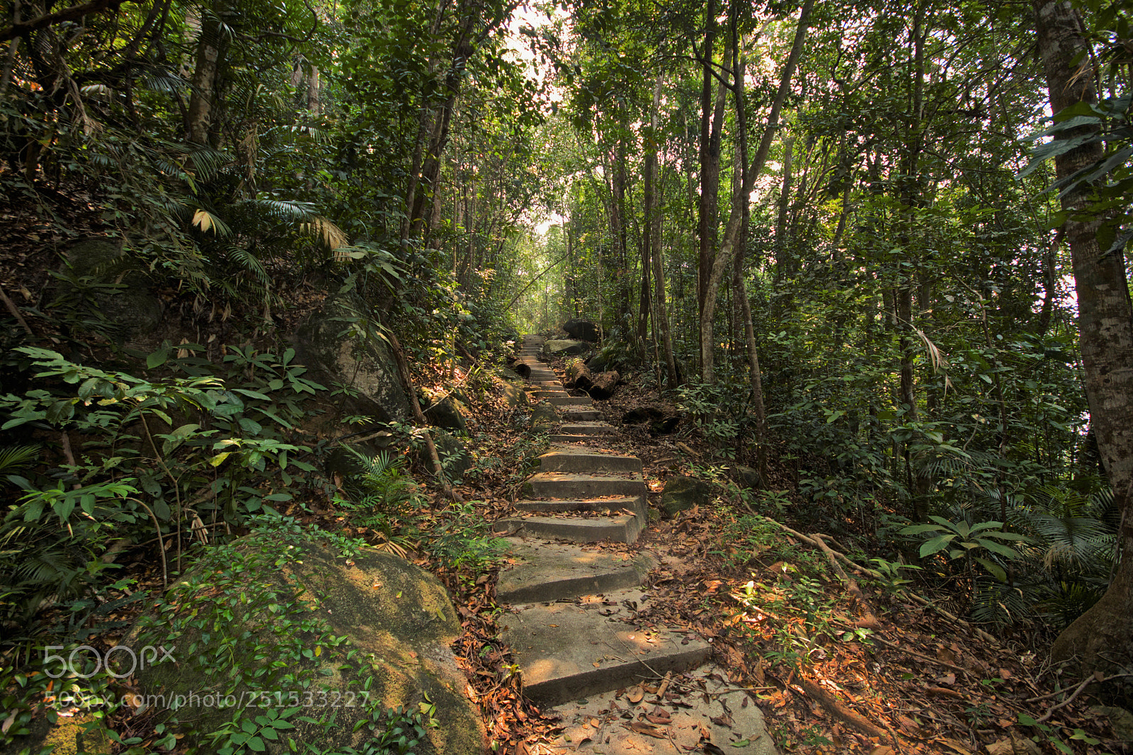 Nikon D7100 sample photo. Just a beautiful path.. photography