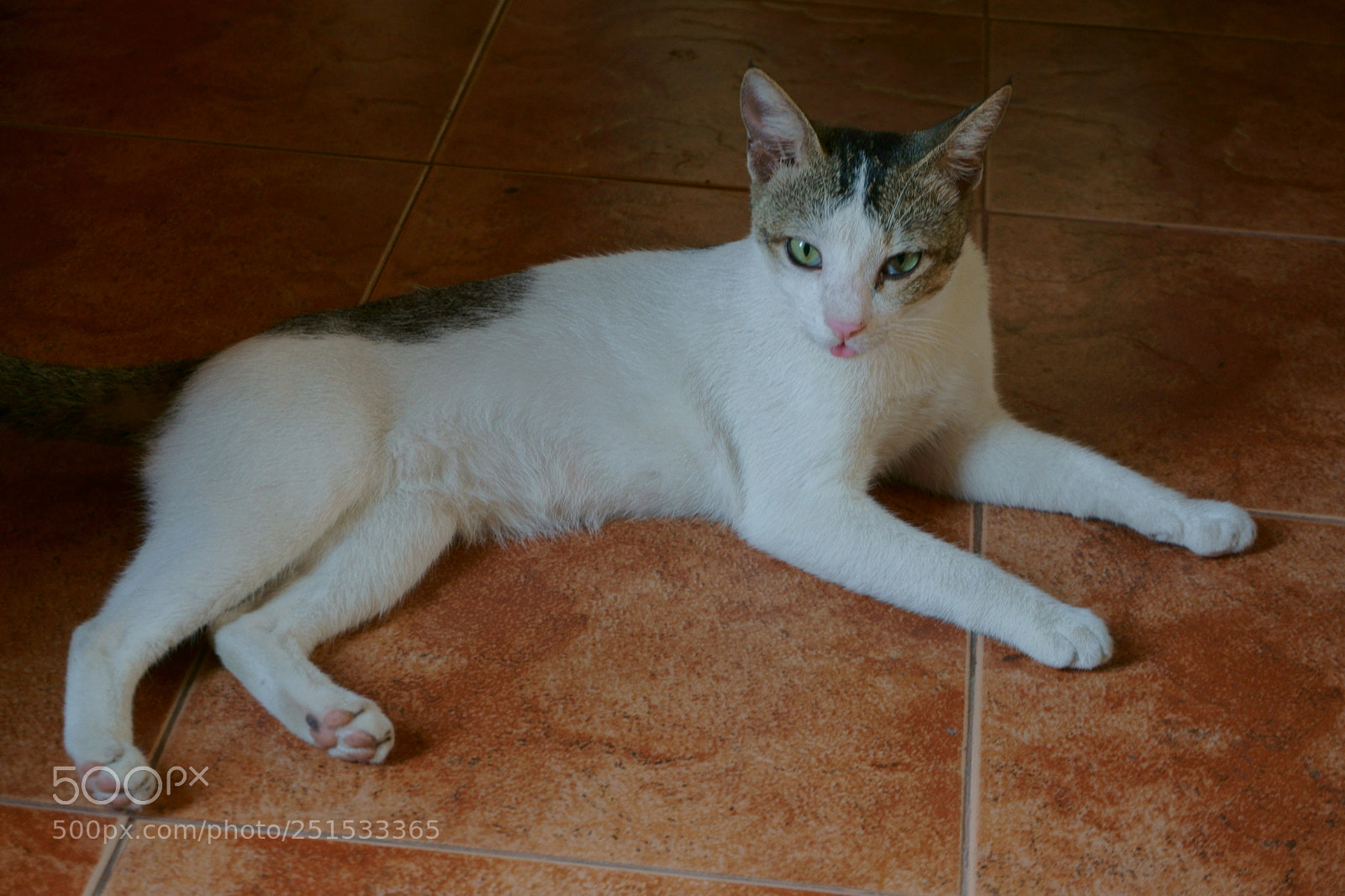 Sony a6000 sample photo. Look at me.. photography
