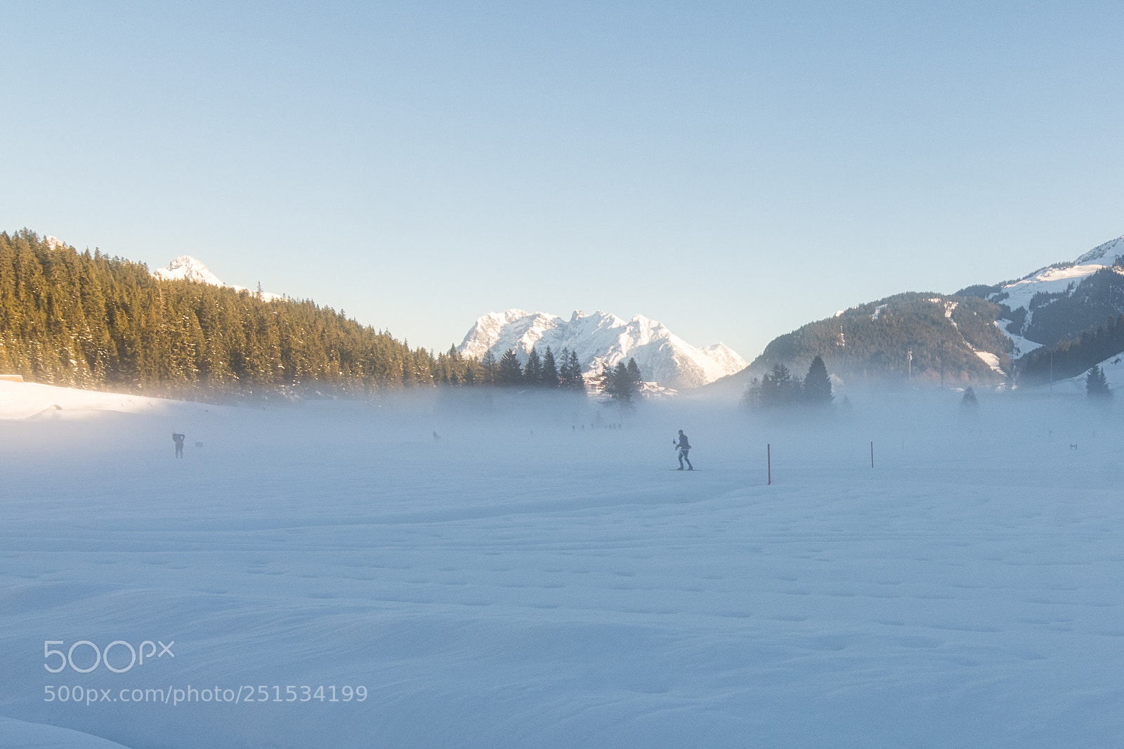 Nikon D7100 sample photo. Race in the fog photography