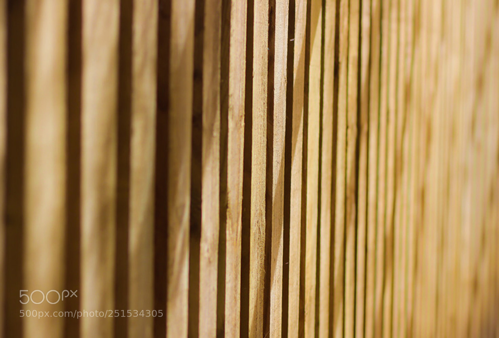 Canon EOS 600D (Rebel EOS T3i / EOS Kiss X5) sample photo. Portrait of a wooden photography