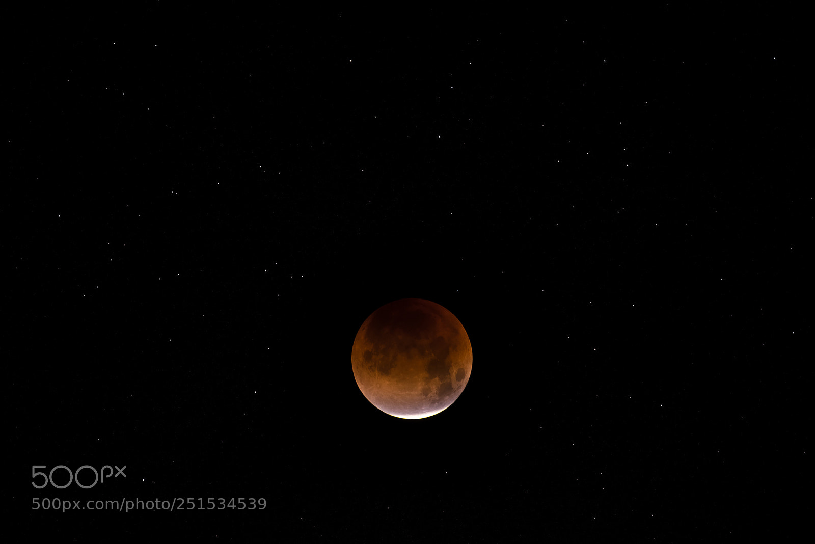 Pentax K-1 sample photo. Blood moon photography