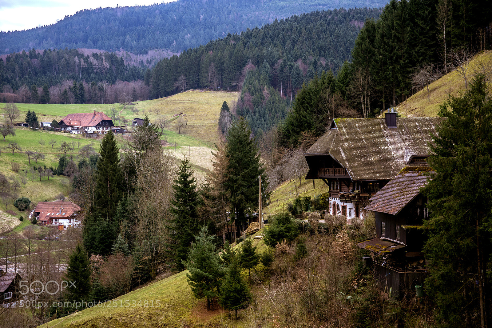 Nikon D7200 sample photo. Black forest view photography