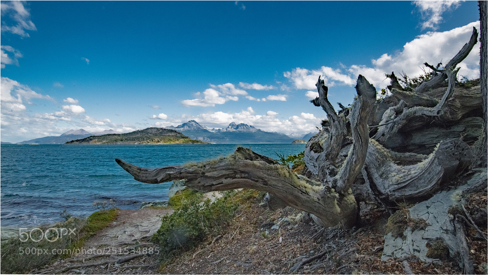 Nikon D850 sample photo. Tierra del fuego photography