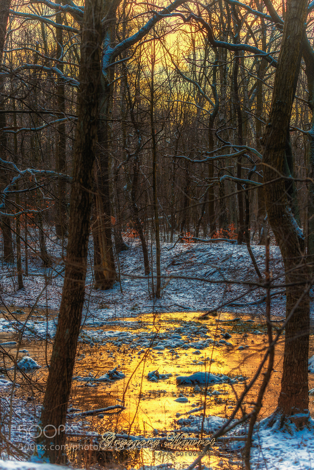 Nikon D800 sample photo. Zamarzni ty park le photography