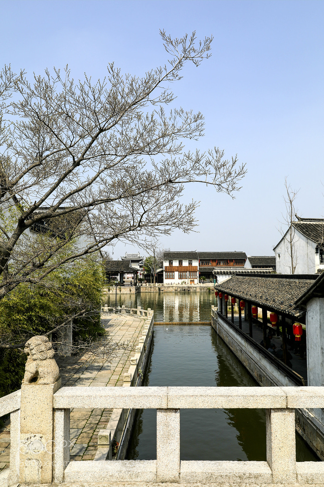 Canon EOS 5D Mark IV sample photo. Dangkou town 7 photography