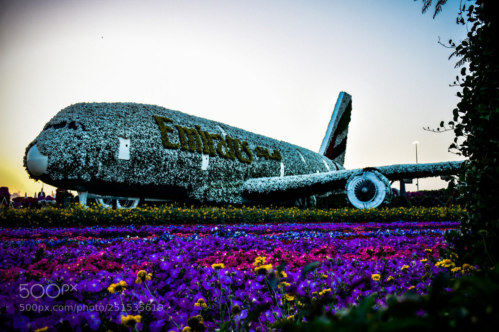 Nikon D7200 sample photo. Untitled photography