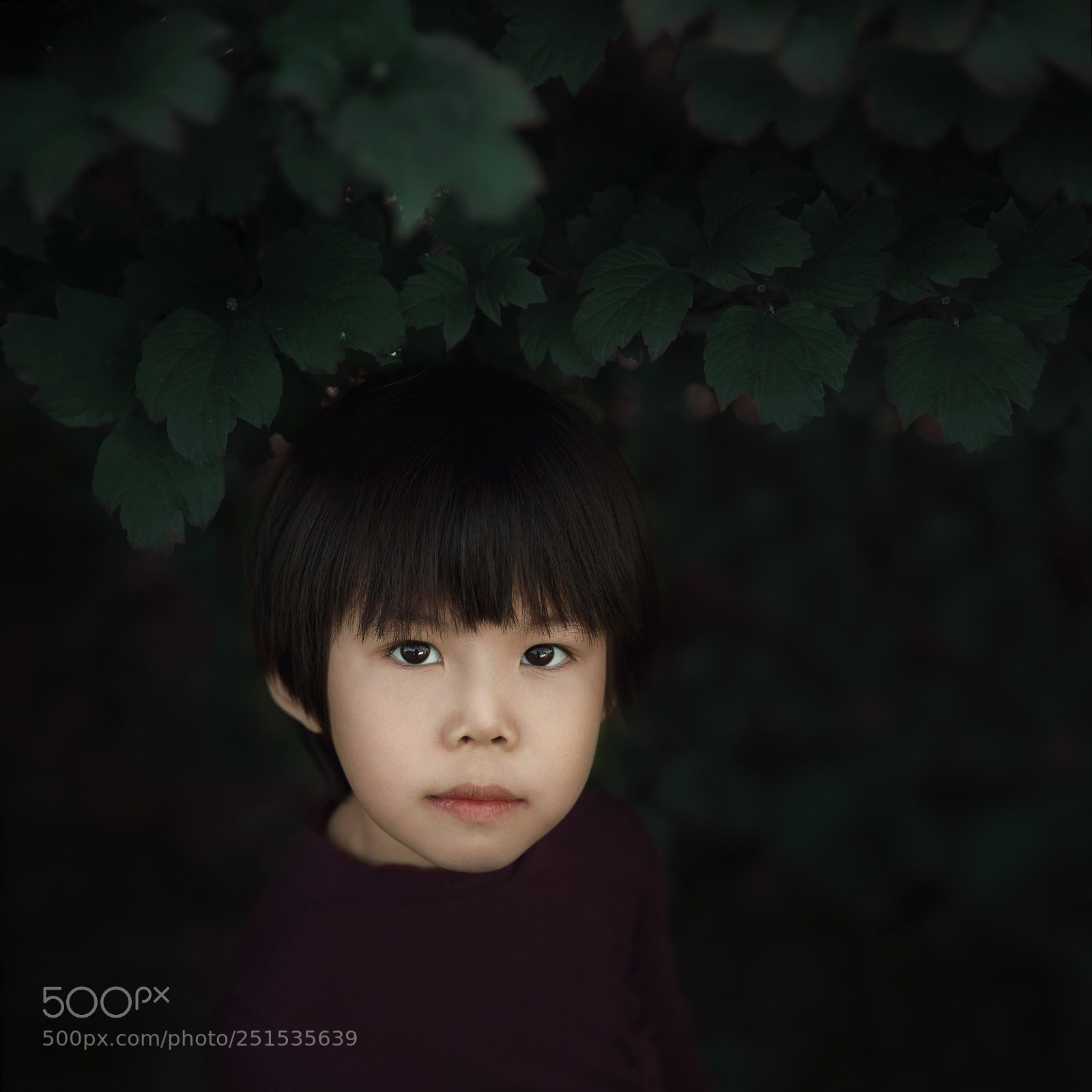 Canon EOS-1D X sample photo. Eyes photography
