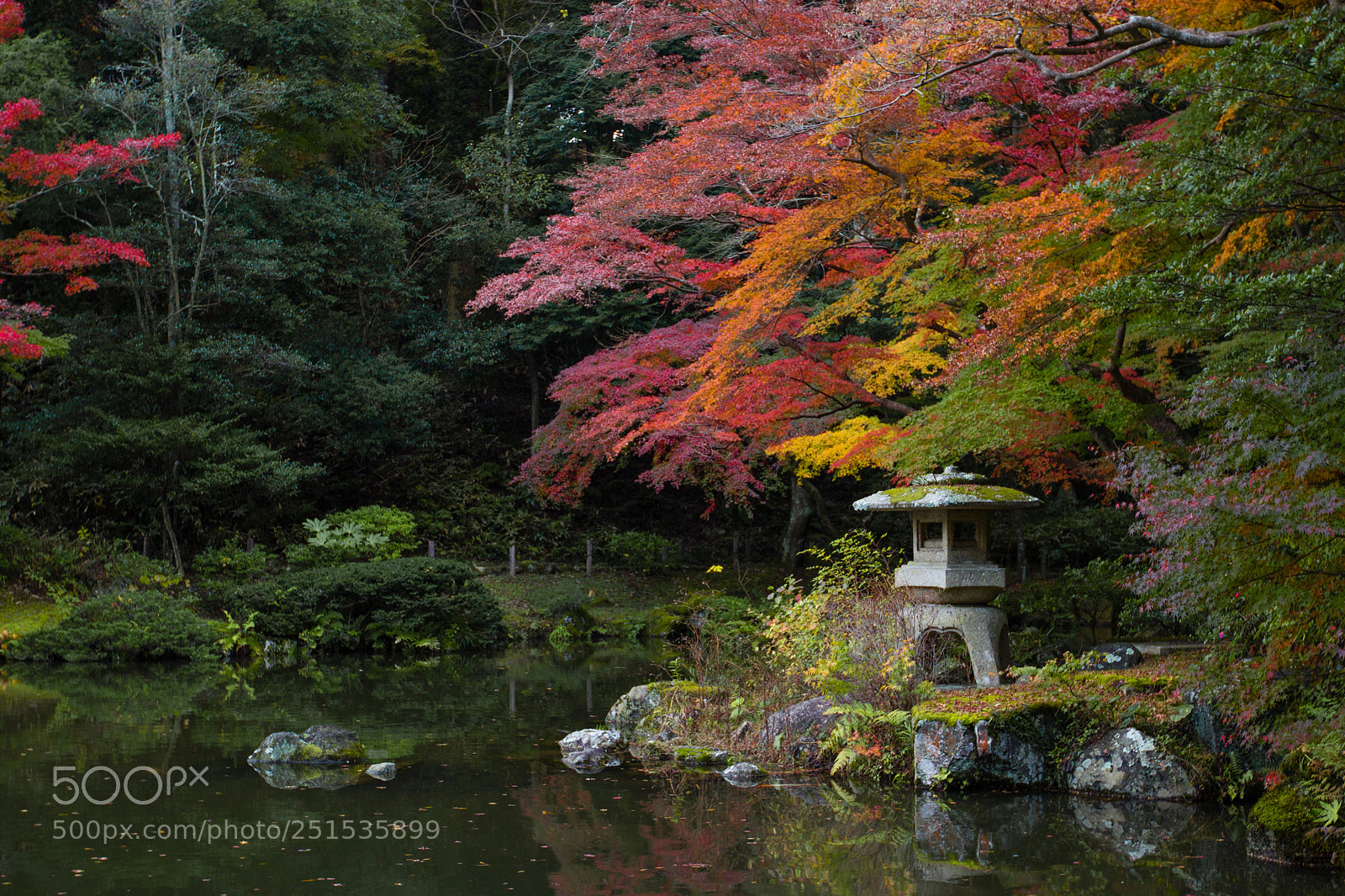Canon EOS 600D (Rebel EOS T3i / EOS Kiss X5) sample photo. Colorful photography