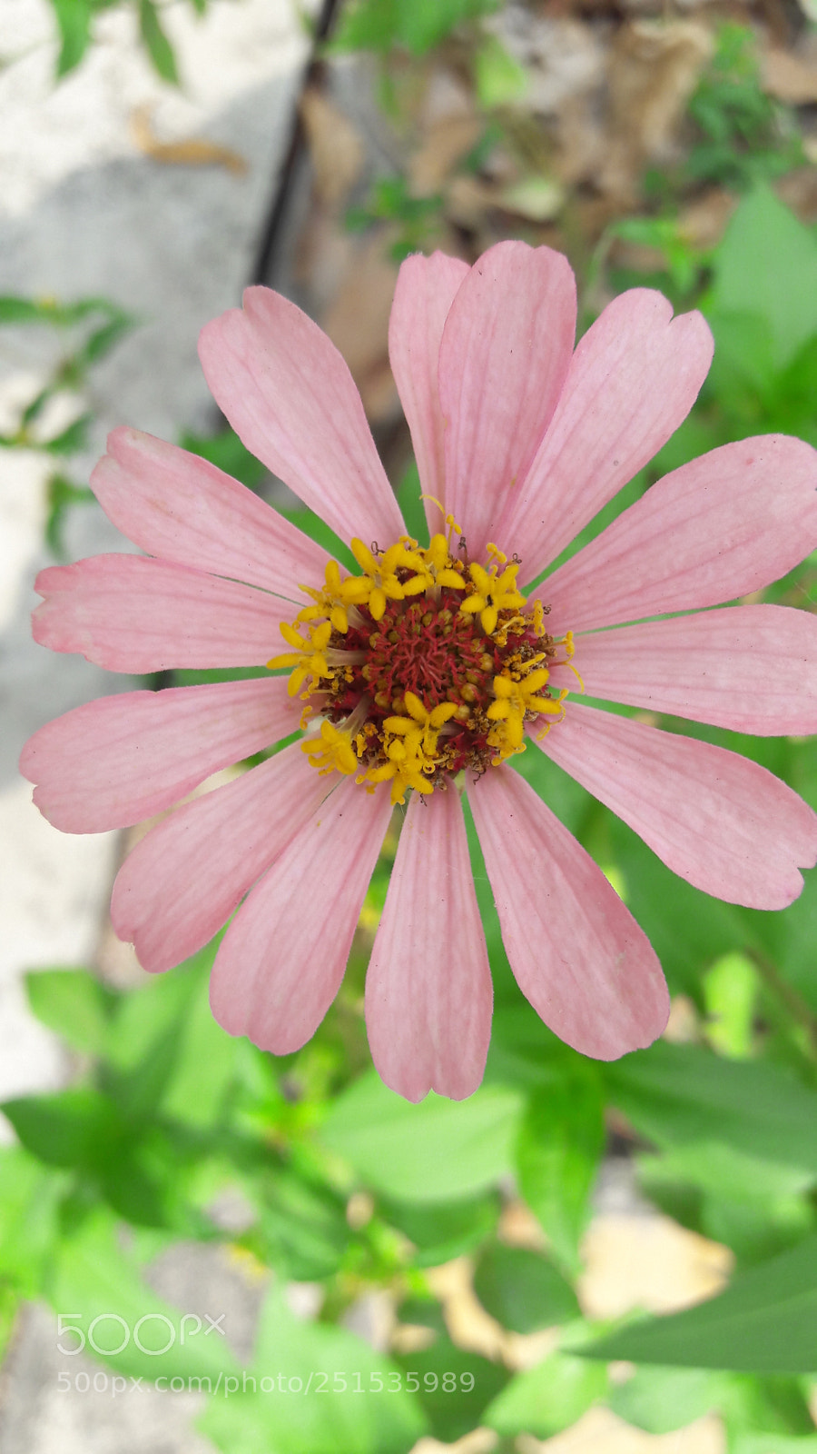 Samsung Galaxy J7 sample photo. 20180331_141524.jpg photography
