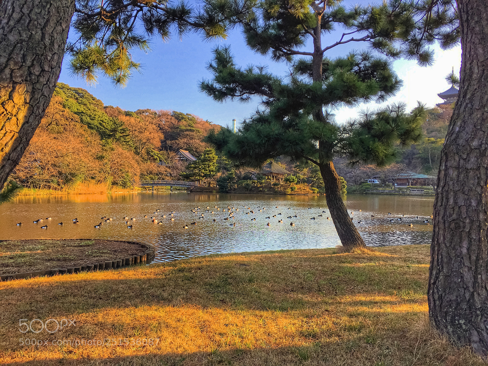 Apple iPhone 6s sample photo. One day afternoon 2... sankei-en 三渓園 photography