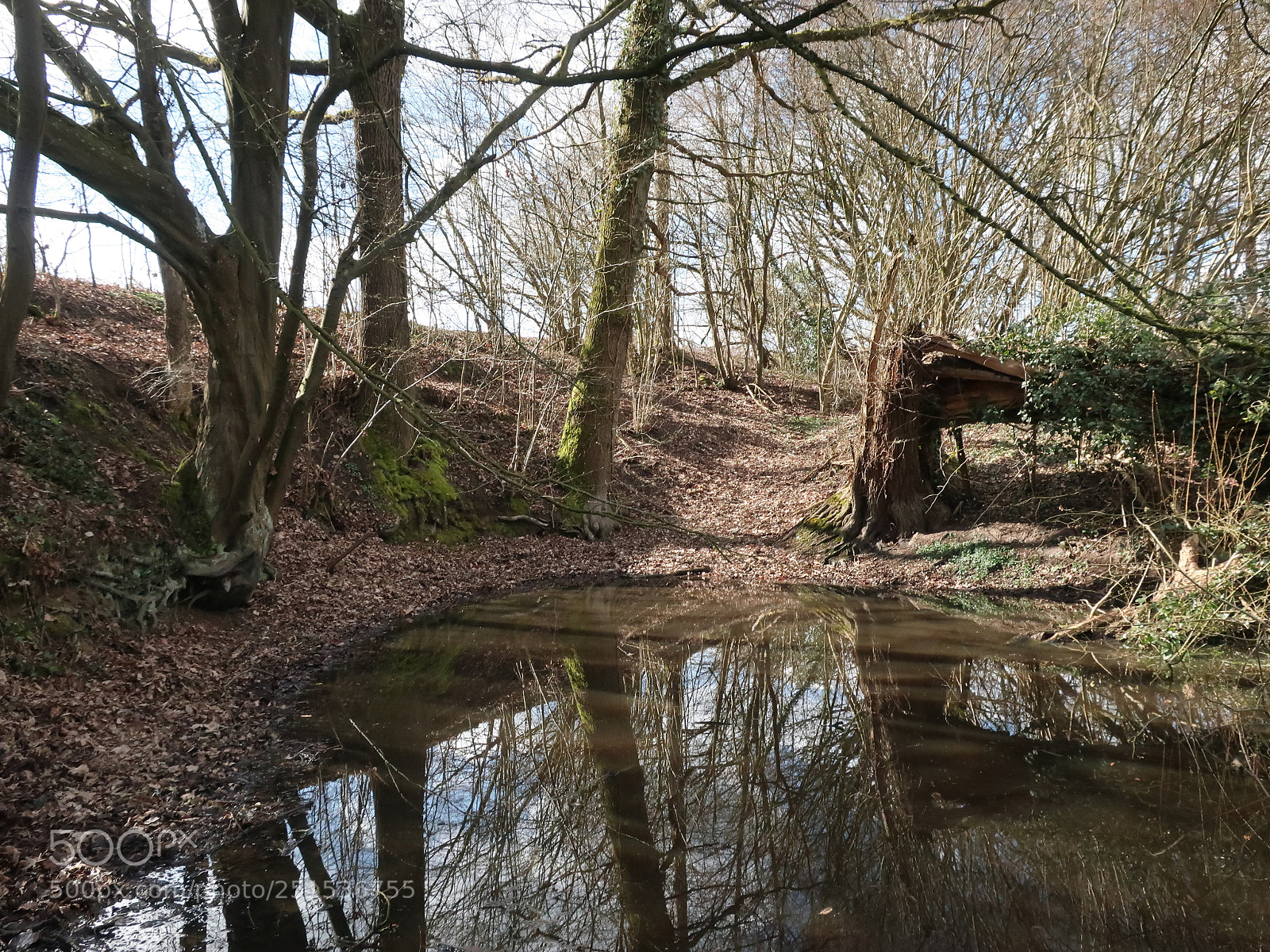 Canon PowerShot G9 X Mark II sample photo. Mirror of the witch photography
