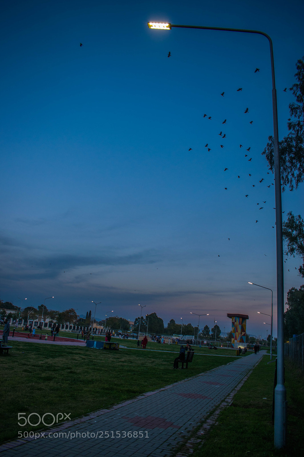 Nikon D3300 sample photo. Beauty photography