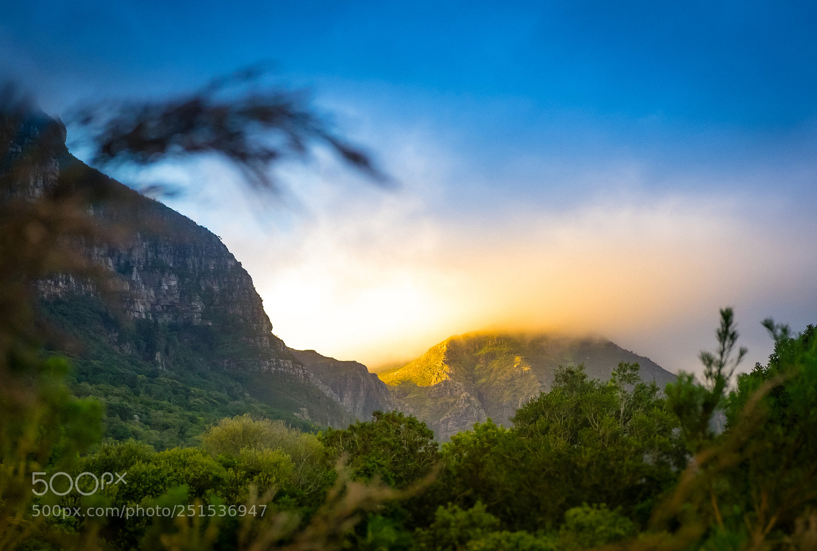 Fujifilm X-T10 sample photo. Kirstenbosch, western cape, south photography