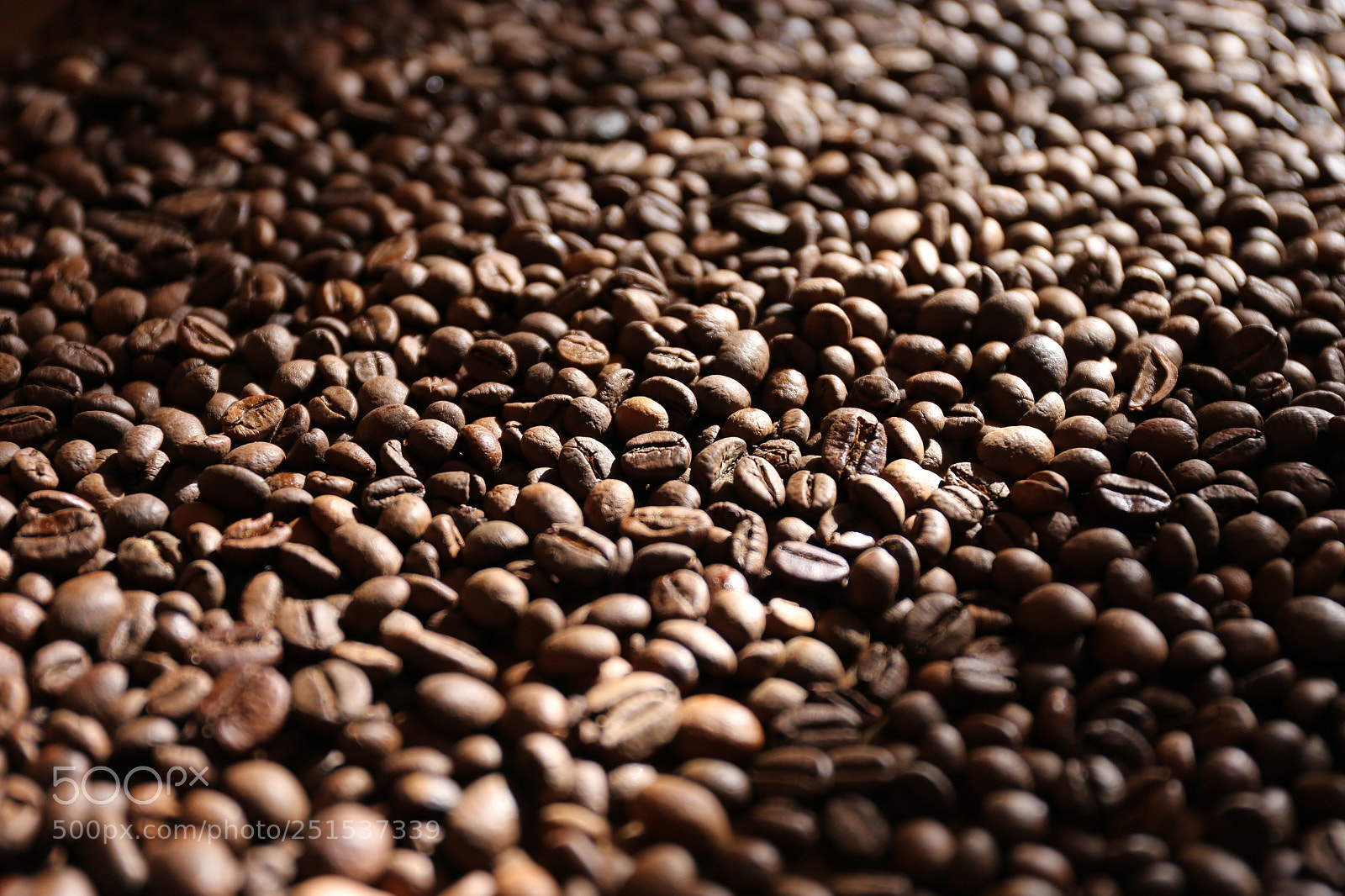 Canon EF 24-70mm F4L IS USM sample photo. The aroma of the photography