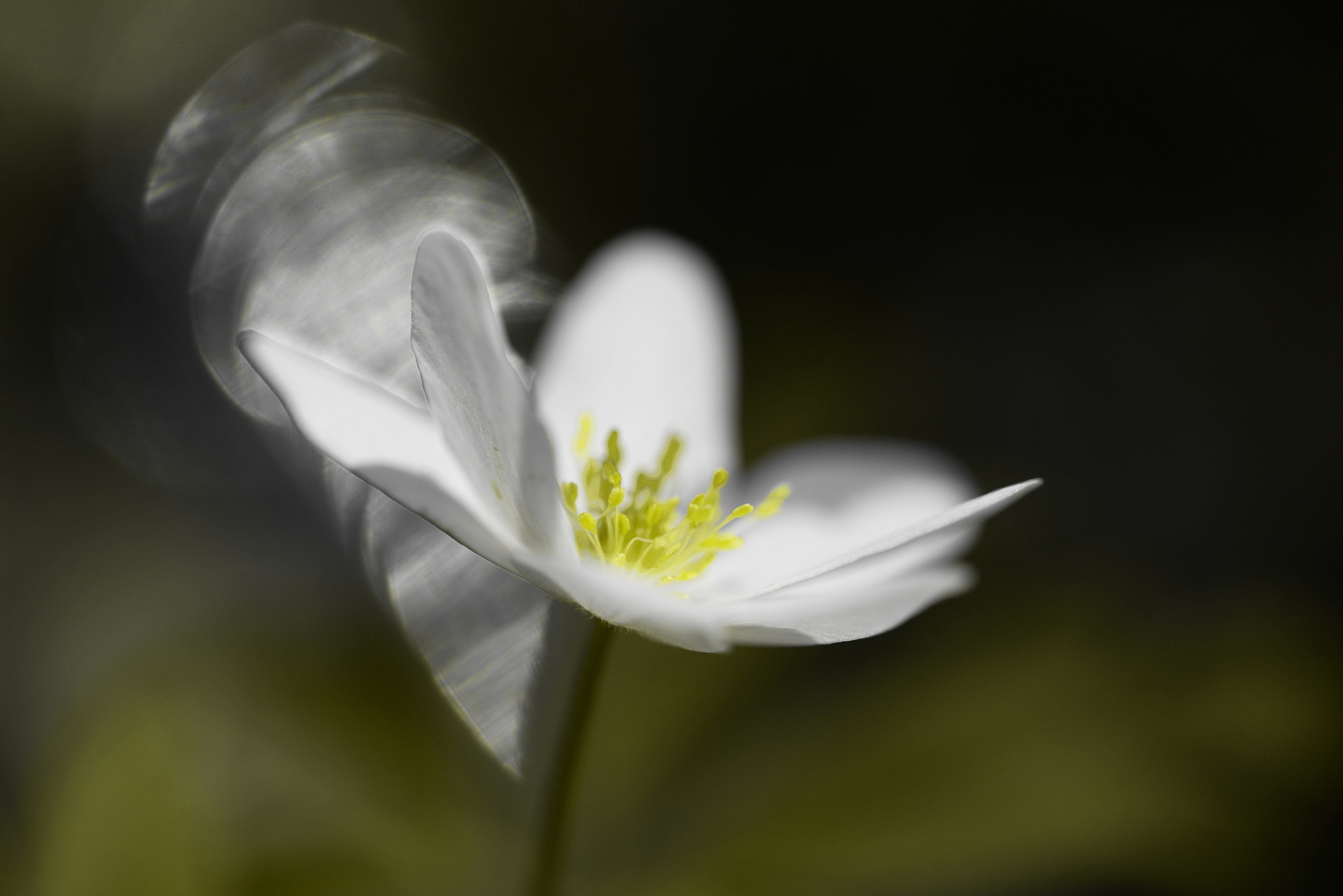 Nikon D610 sample photo. Light photography