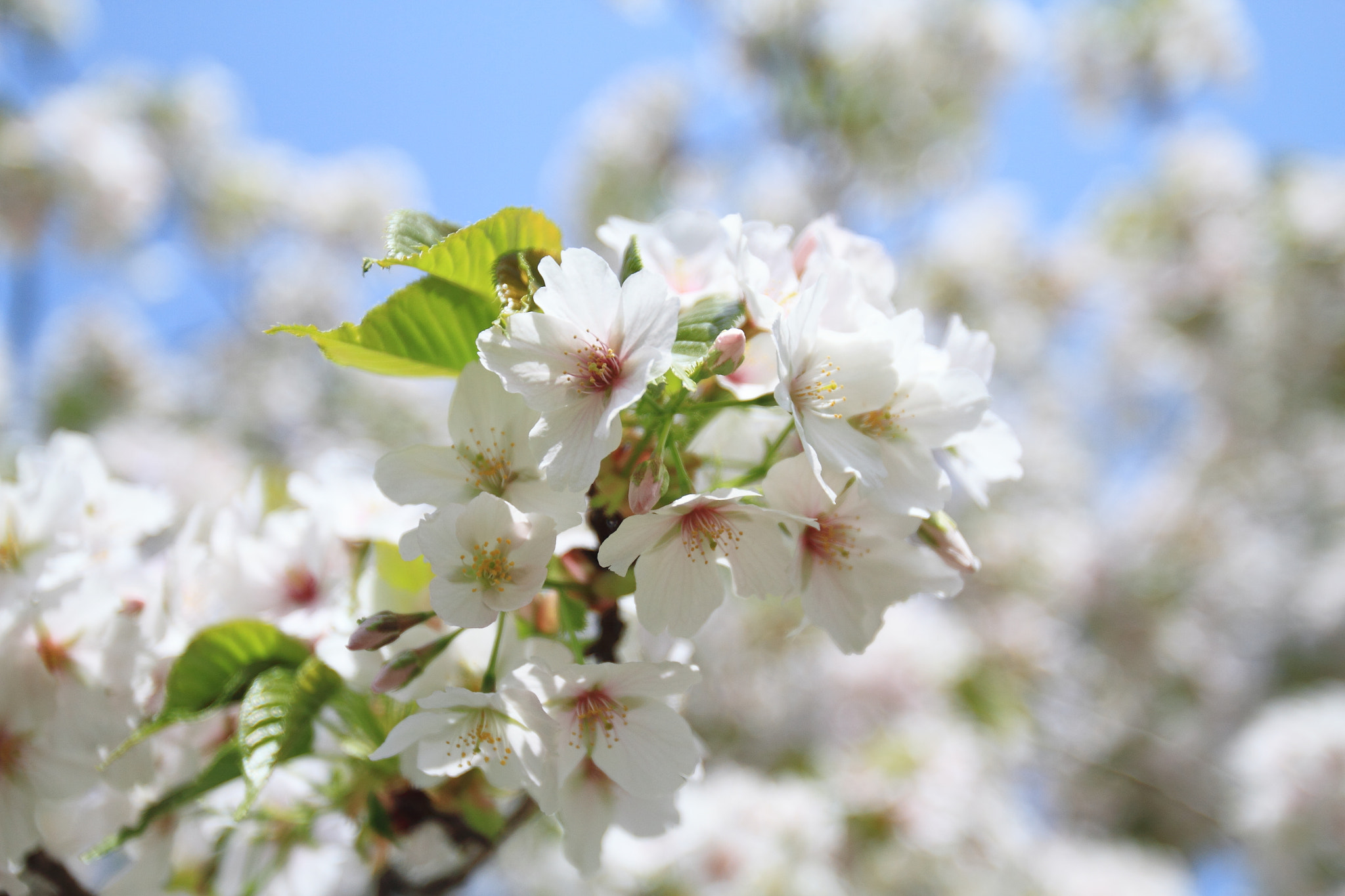 Canon EOS 7D + Canon EF 16-35mm F2.8L USM sample photo. 0331 photography