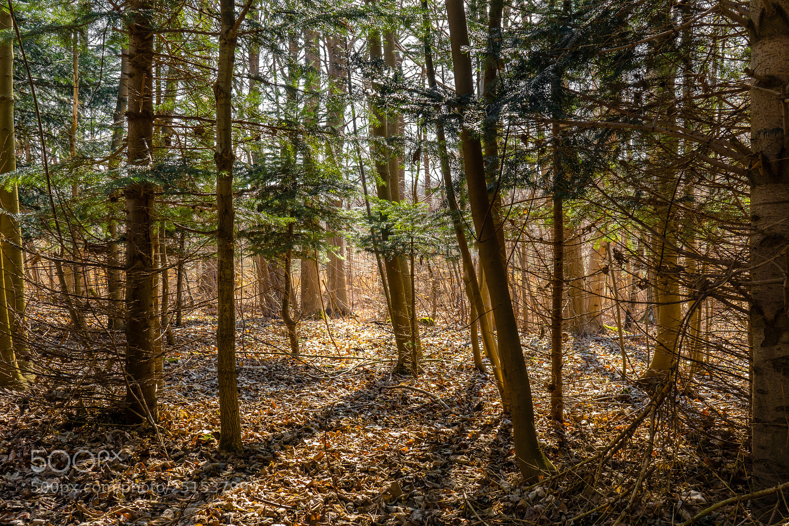 Sony a7 III sample photo. Dragerup in holbæk photography