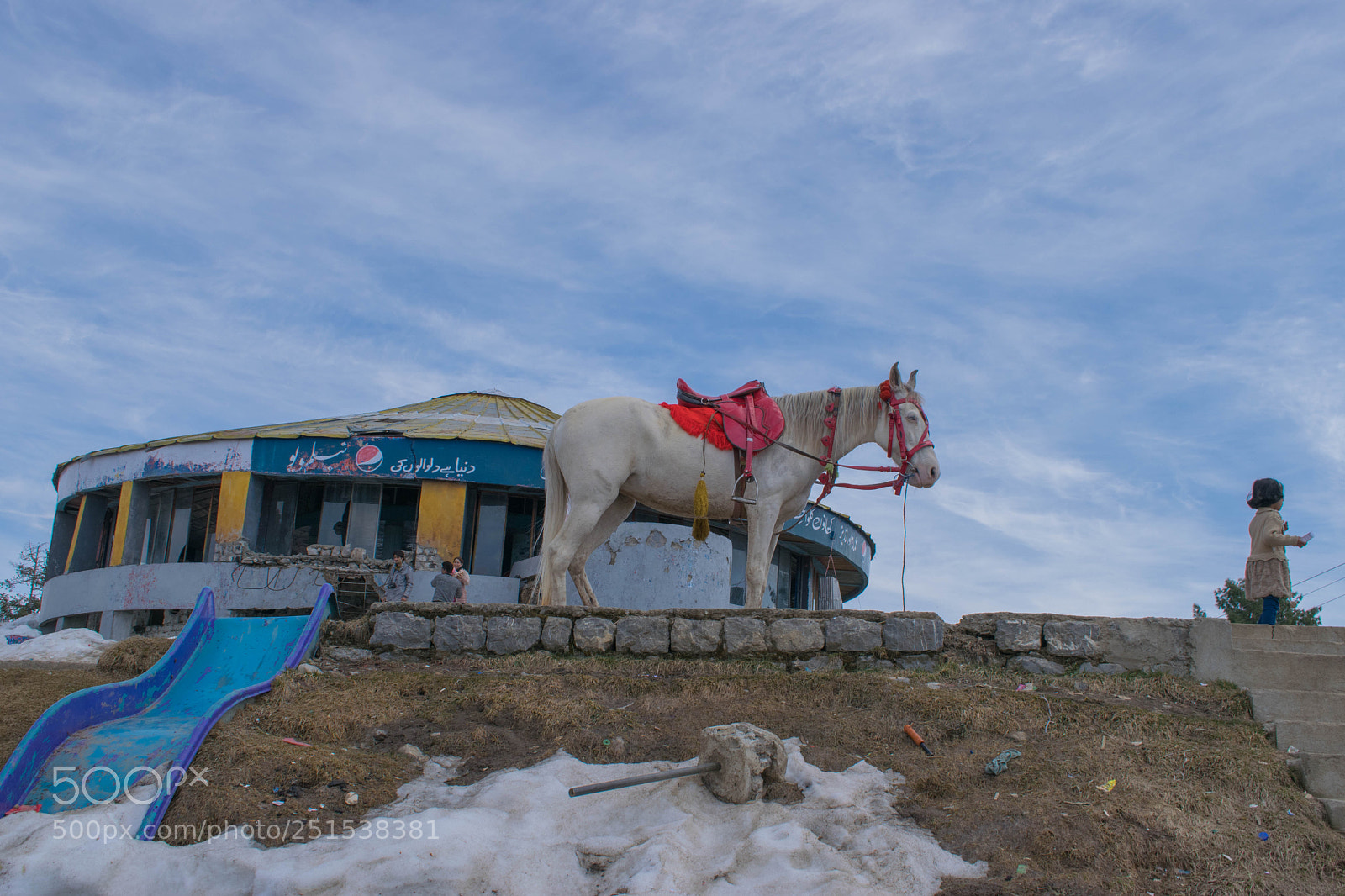 Nikon D3300 sample photo. Horse photography