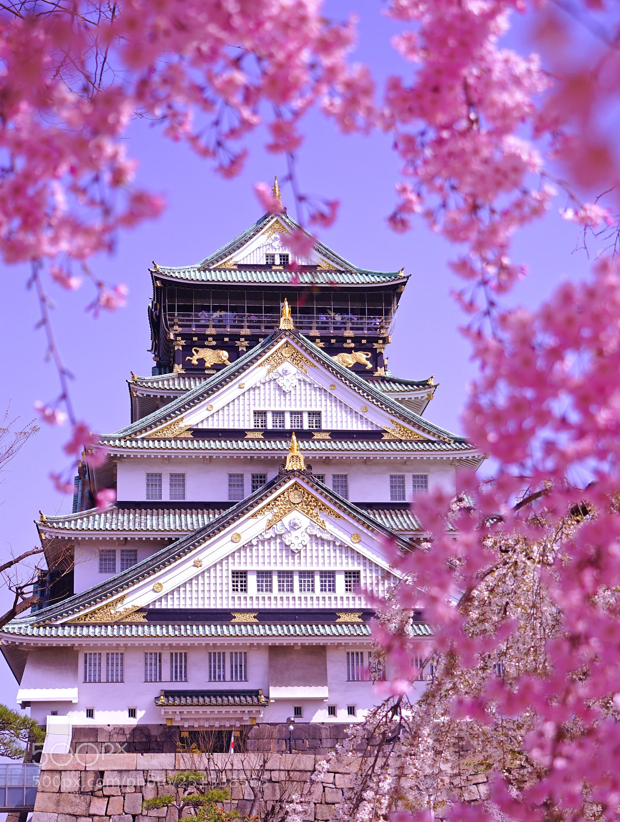 Sony a7R sample photo. Osaka sakura photography