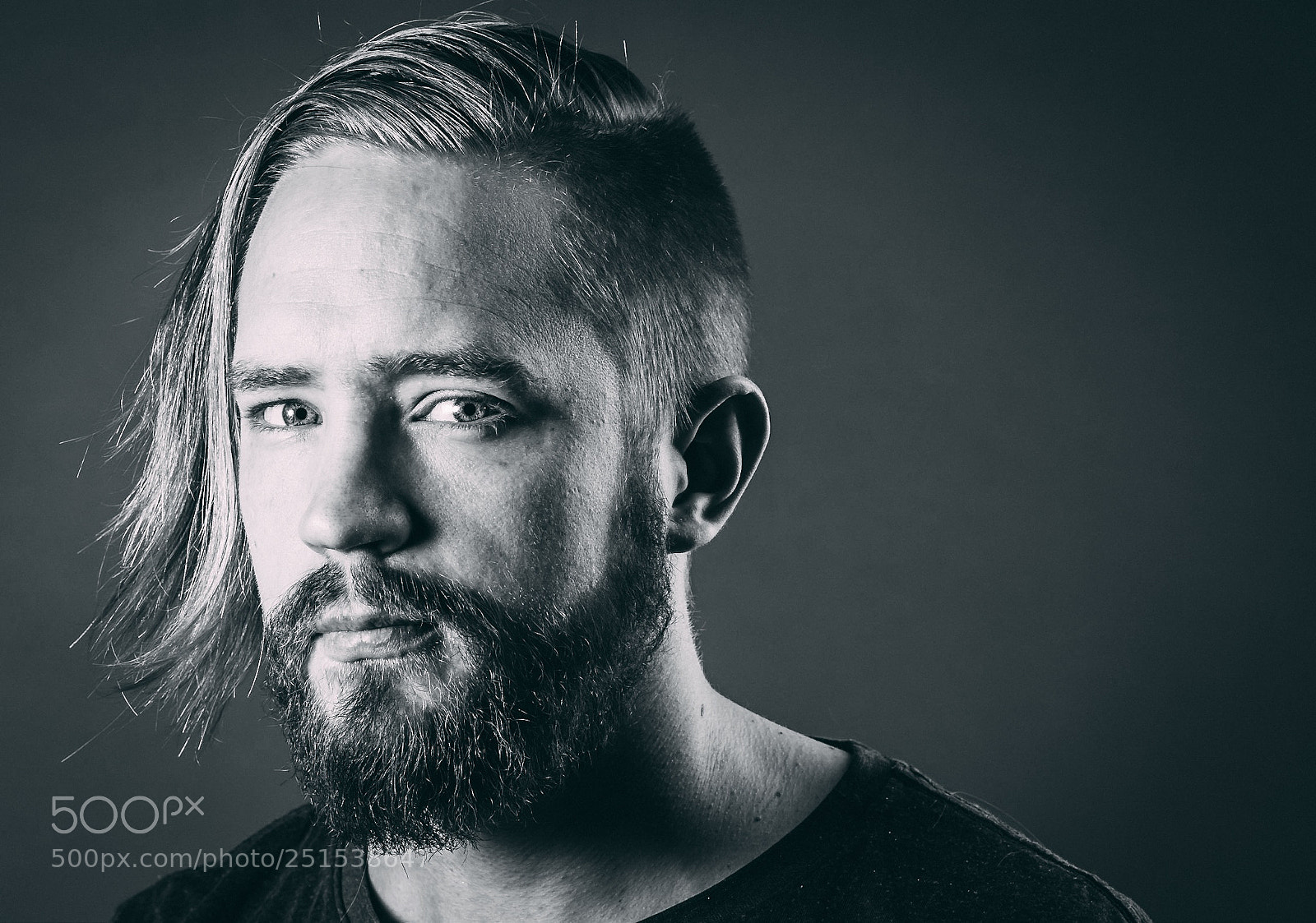 Nikon D500 sample photo. Beard in the studio photography