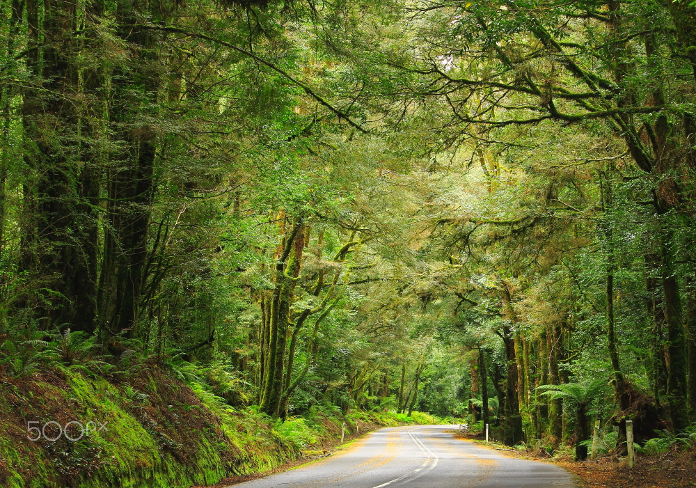 Canon EF-S 55-250mm F4-5.6 IS sample photo. Hellyer gorge road photography