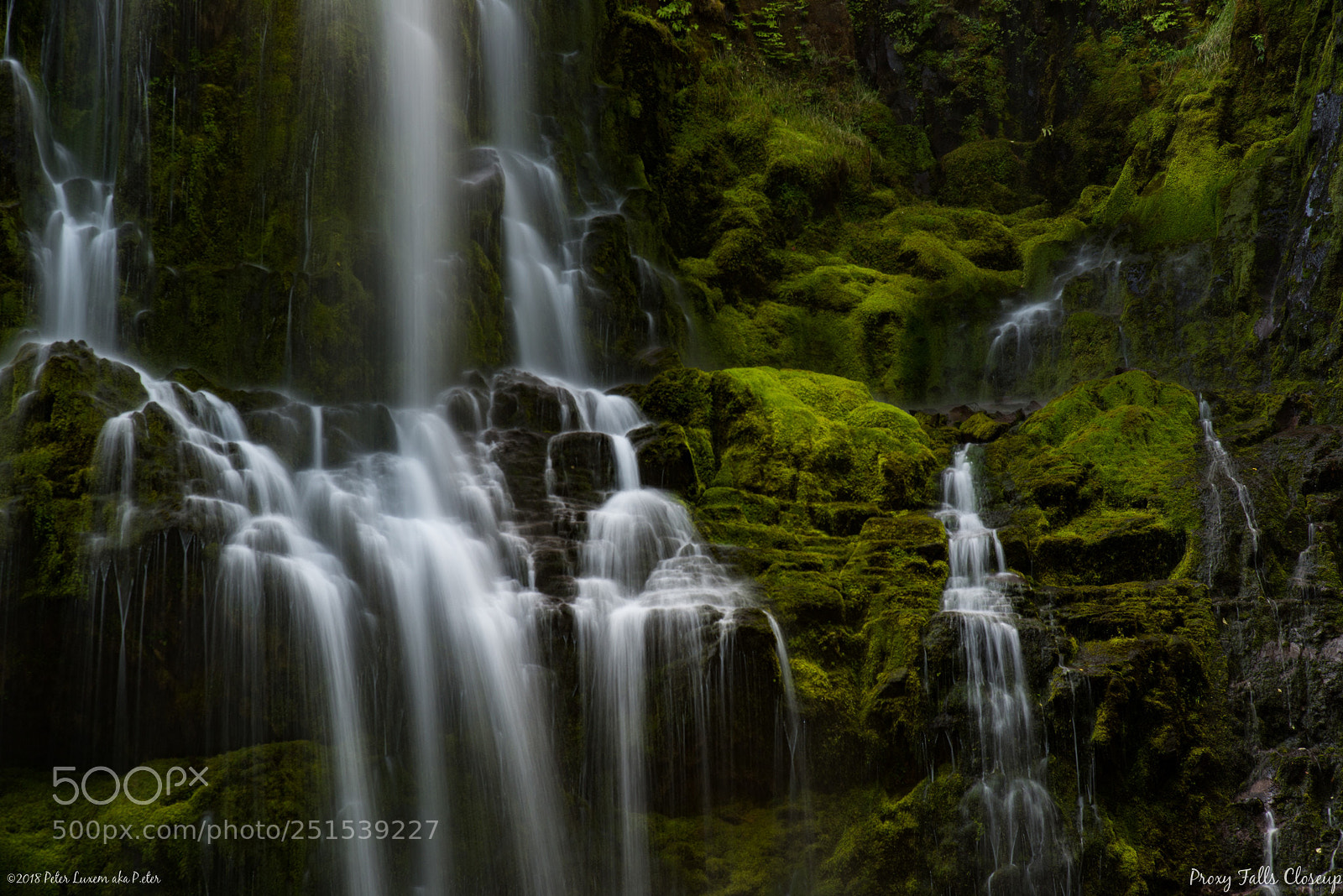 Nikon D800 sample photo. Proxy falls closeup photography