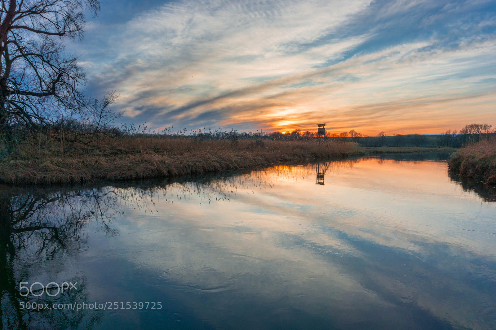 Sony a6000 sample photo. Dsc photography