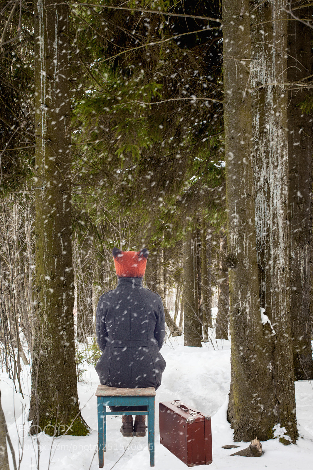 Canon EOS 5D Mark II sample photo. Girl and forest photography