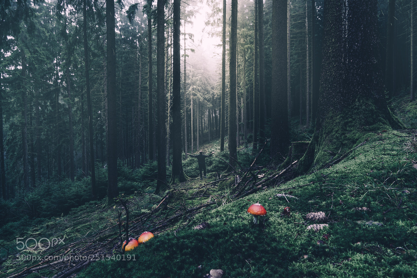 Sony a7R II sample photo. Http://weinheim.photos photography