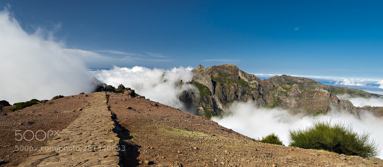 Olympus OM-D E-M5 II sample photo. Pico ruivo photography
